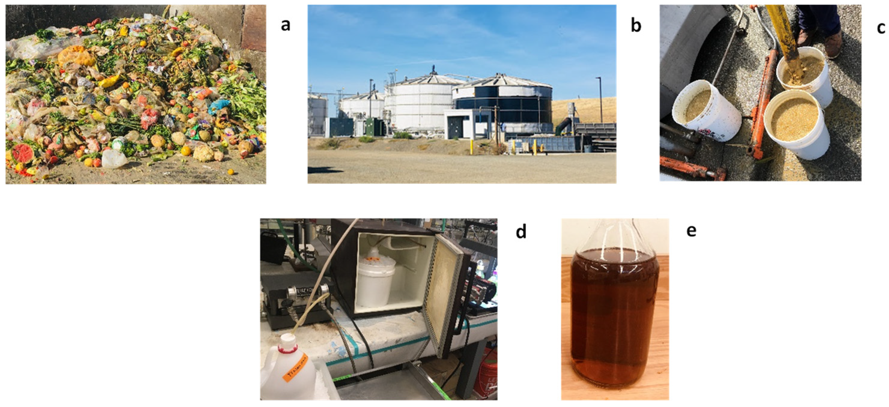 Bioengineering 09 00630 g001