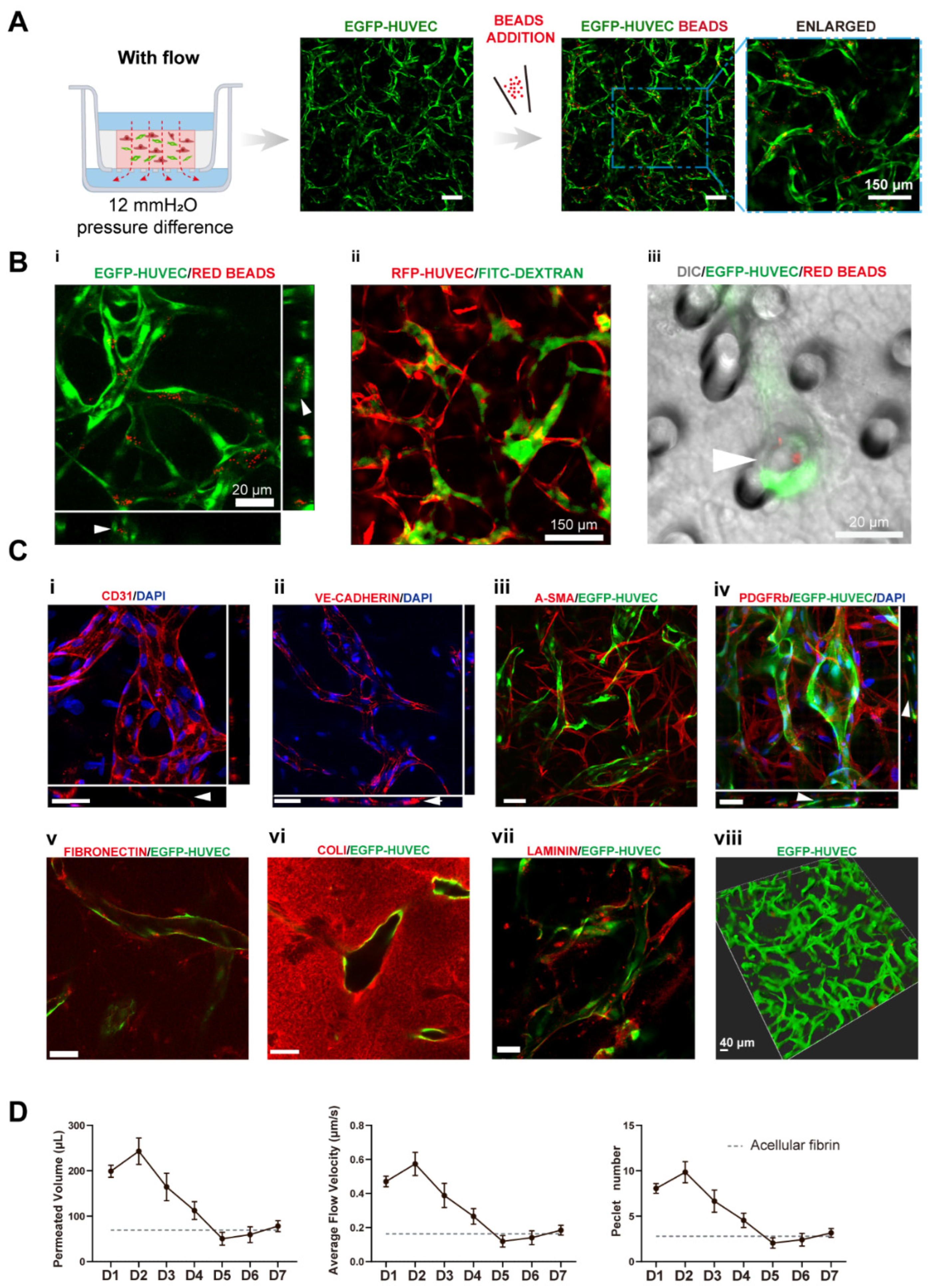 Bioengineering 09 00668 g002