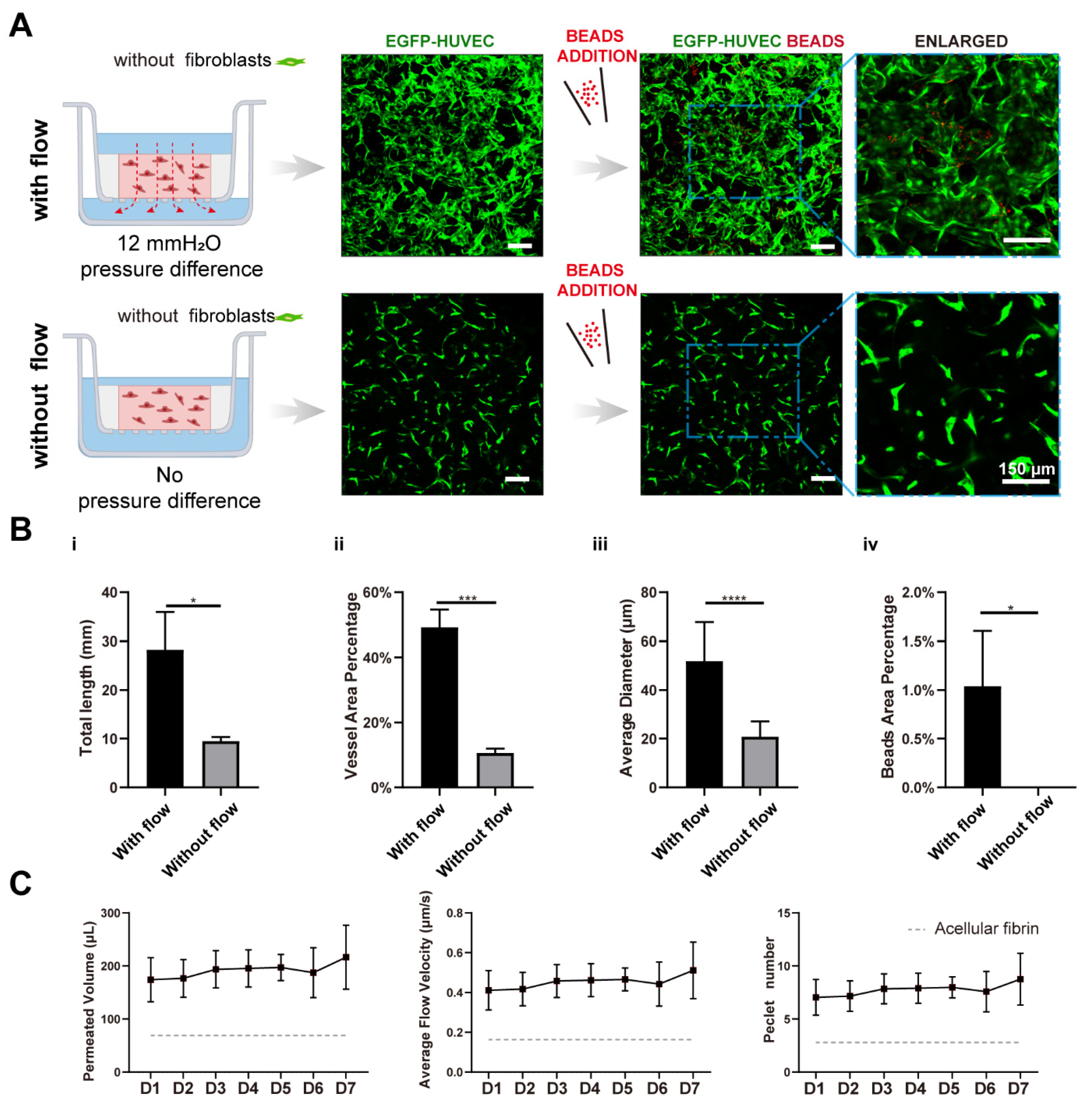 Bioengineering 09 00668 g005