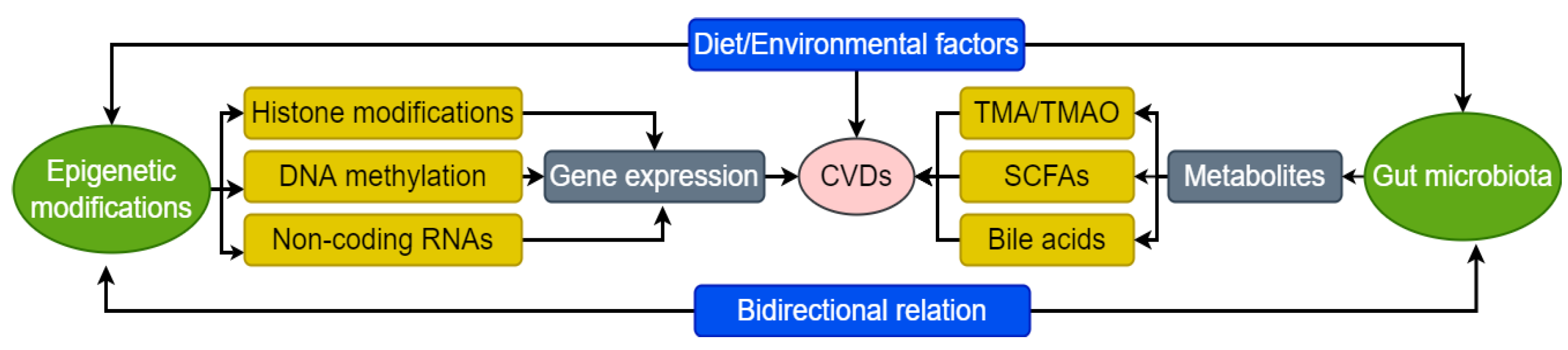Bioengineering 09 00798 g002