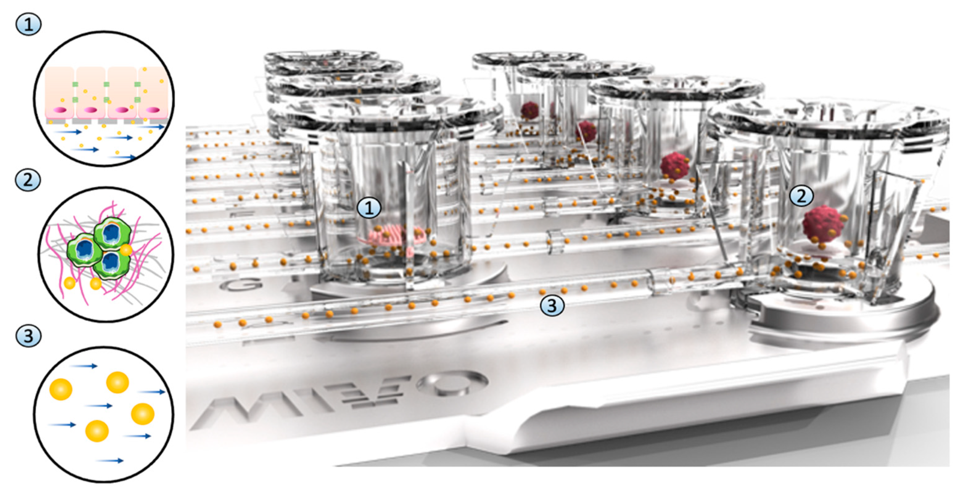 Bioengineering 10 00270 g006