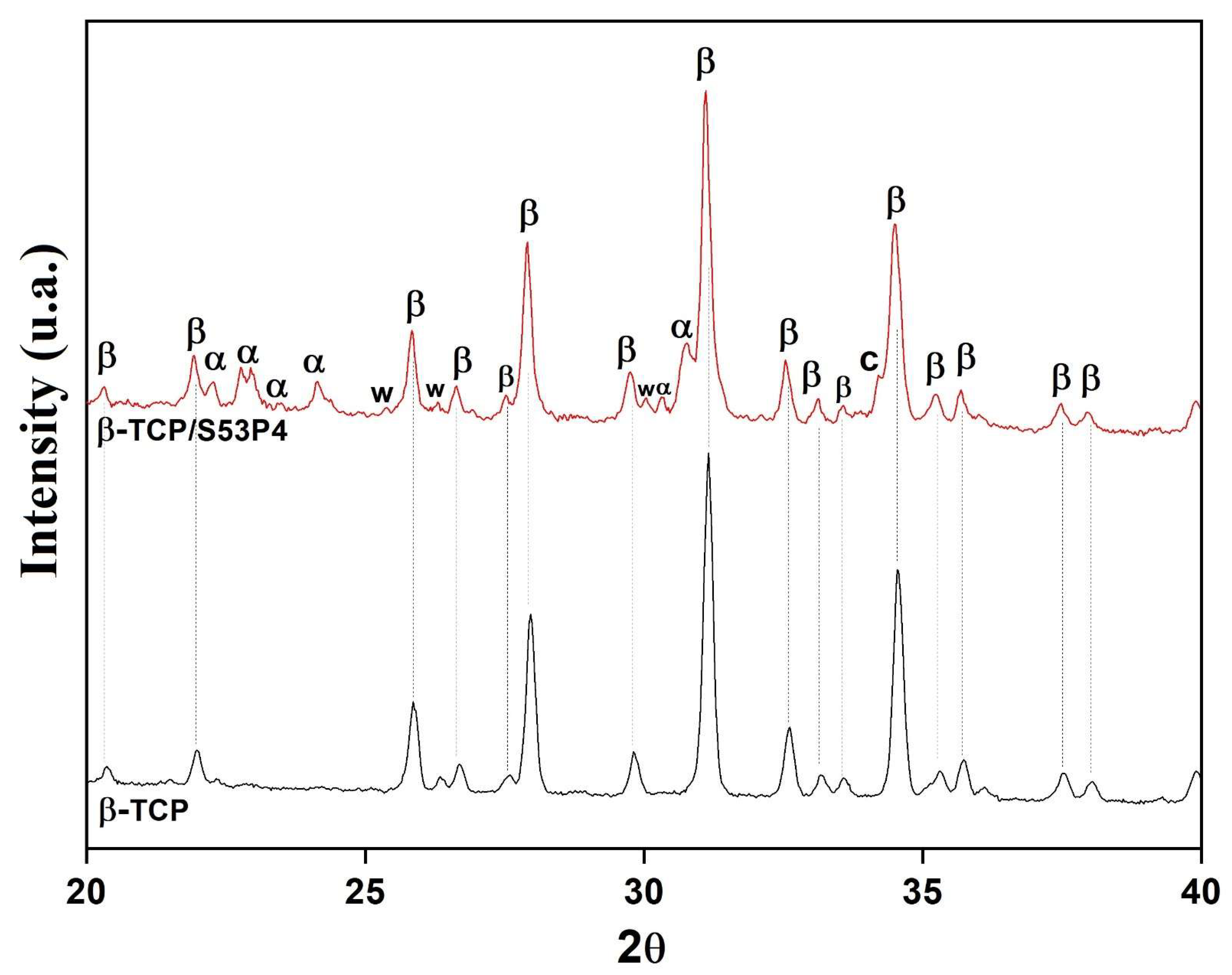 Bioengineering 10 00597 g001