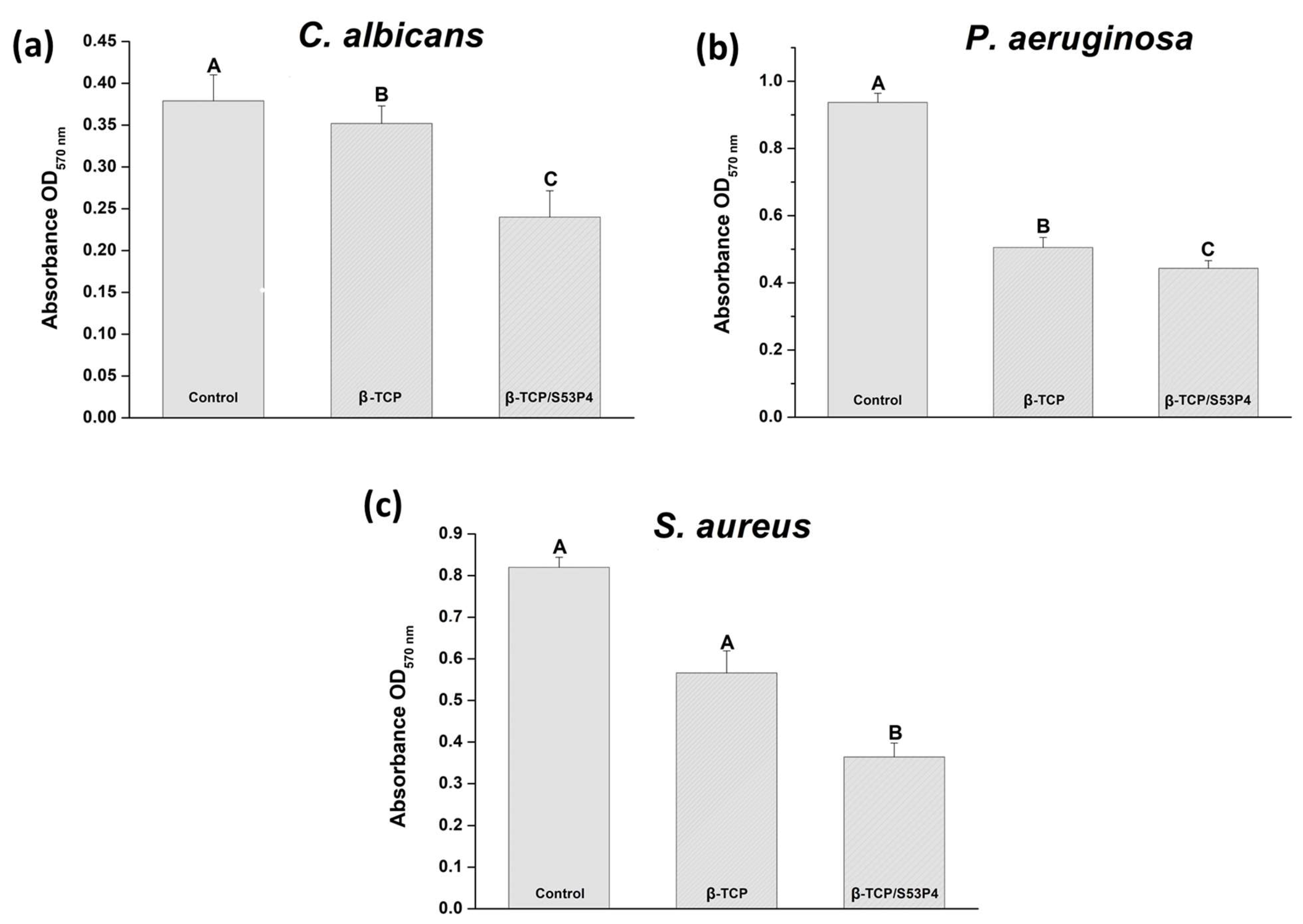 Bioengineering 10 00597 g007