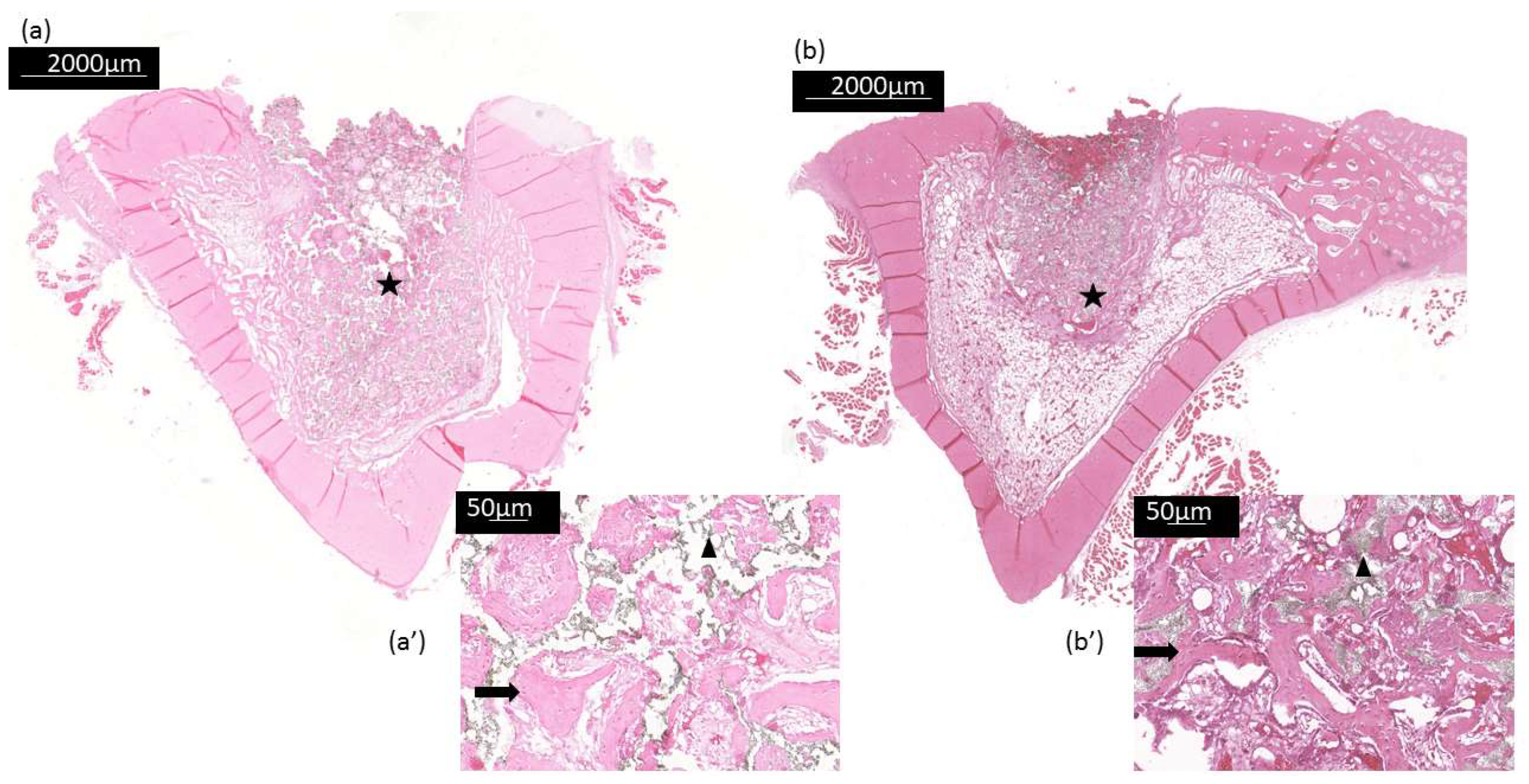 Bioengineering 10 00597 g008