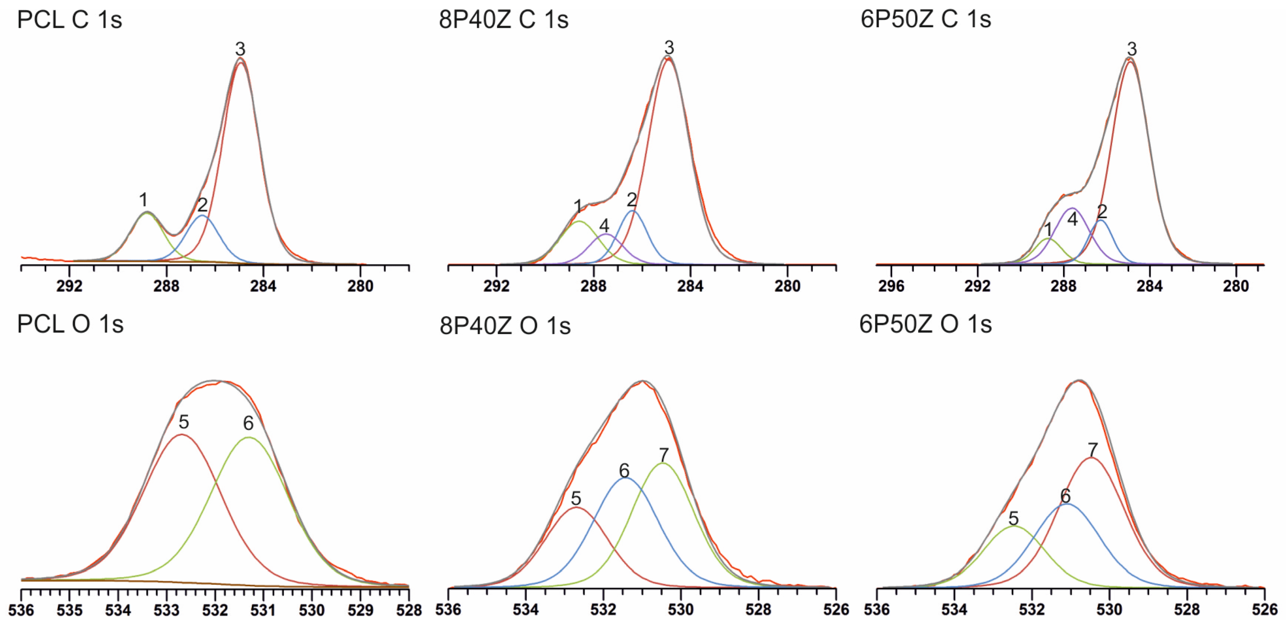 Bioengineering 10 00771 g002