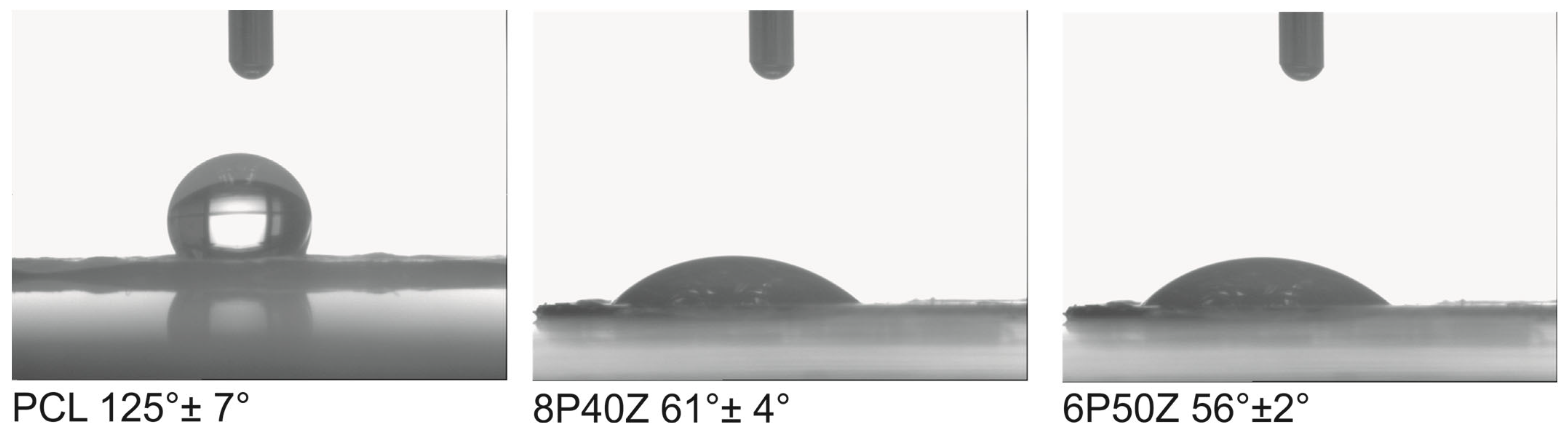 Bioengineering 10 00771 g004