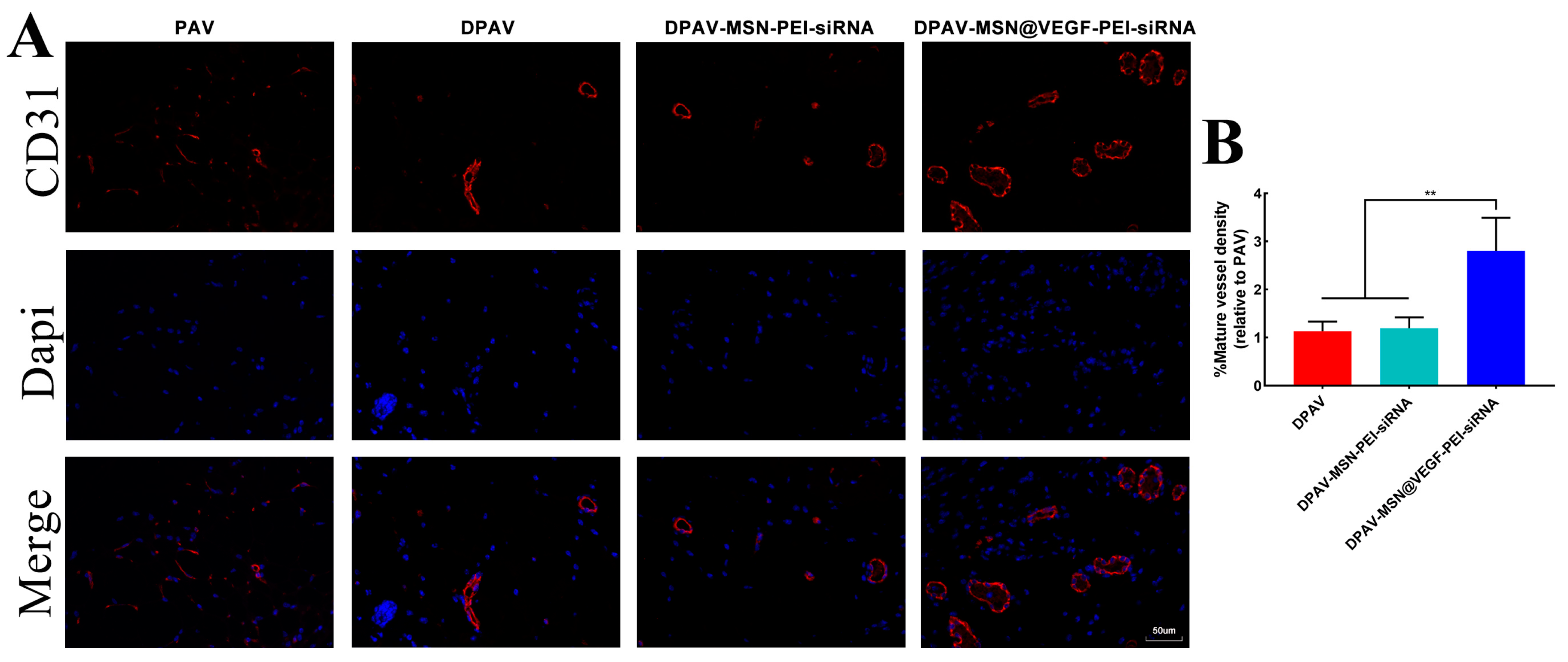 Bioengineering 10 00859 g007