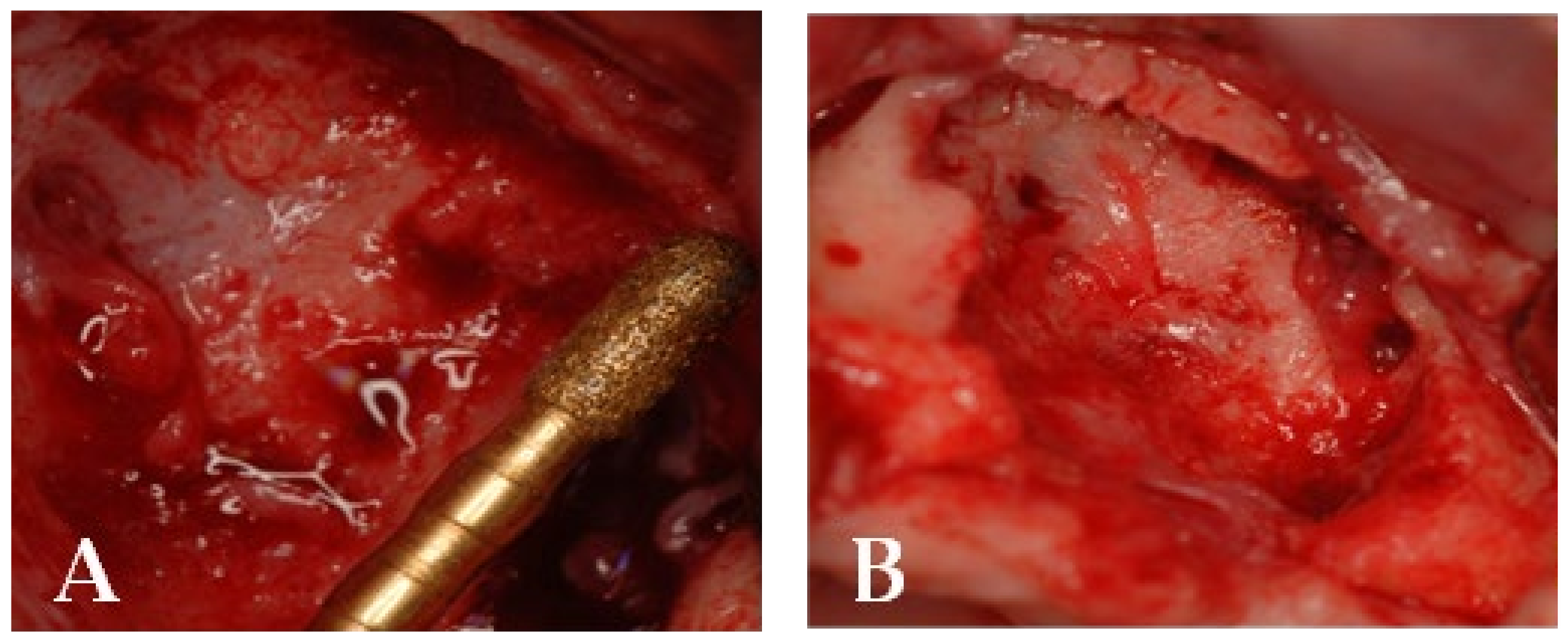 Bioengineering 10 00863 g013 Bioengineering 10 00863 g013