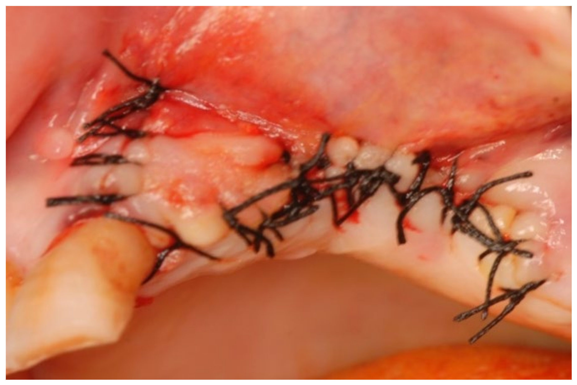 Bioengineering 10 00863 g014 Bioengineering 10 00863 g014