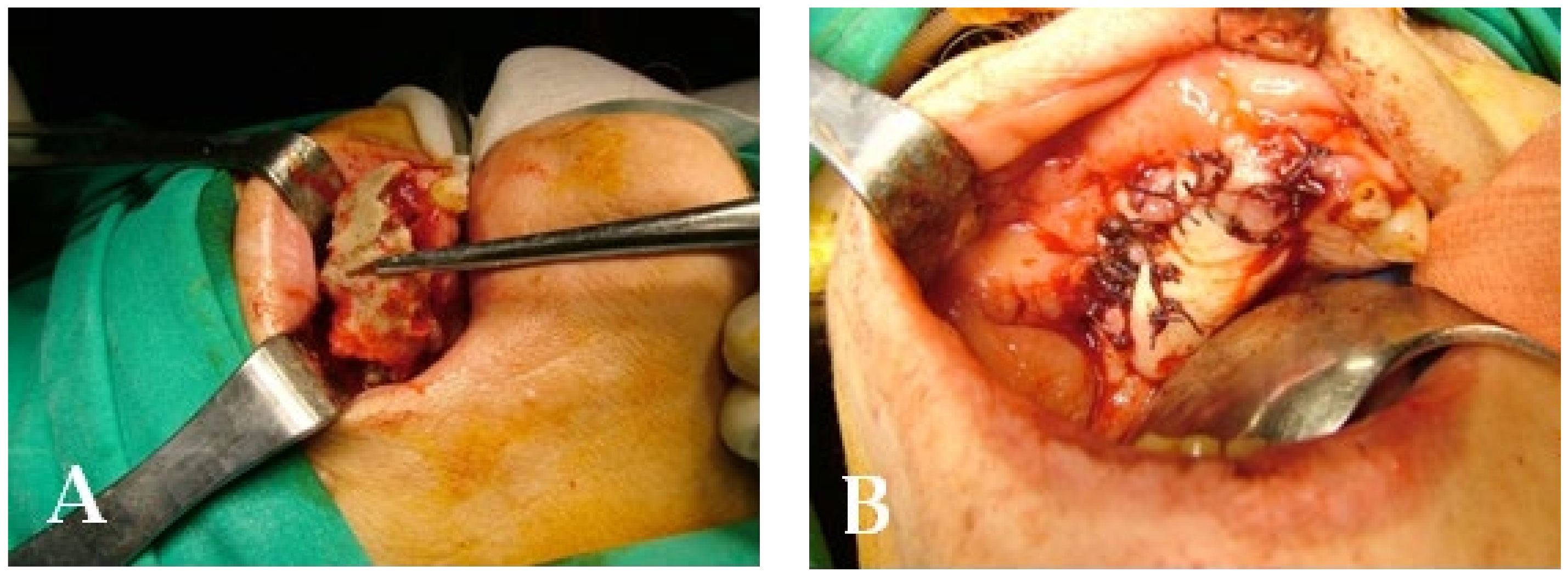 Bioengineering 10 00863 g021 Bioengineering 10 00863 g021