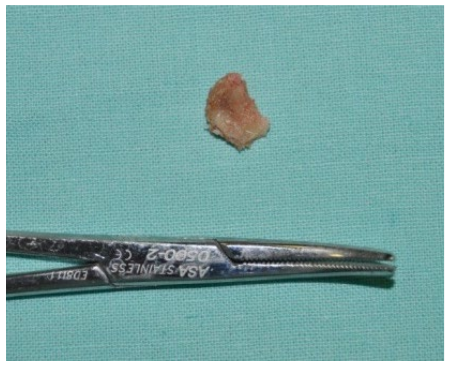 Bioengineering 10 00863 g025 Bioengineering 10 00863 g025