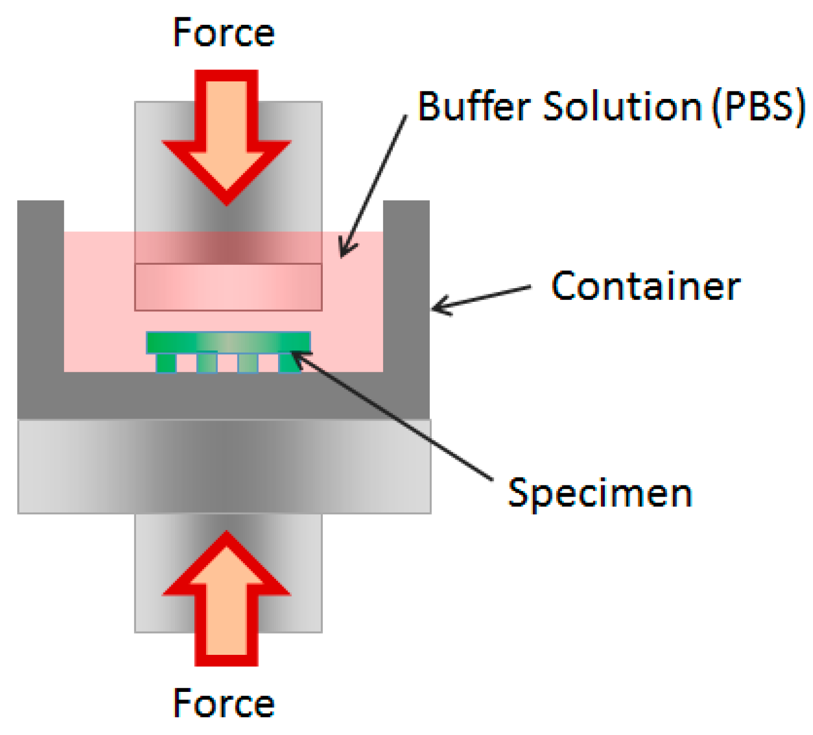 Bioengineering 10 01092 g003