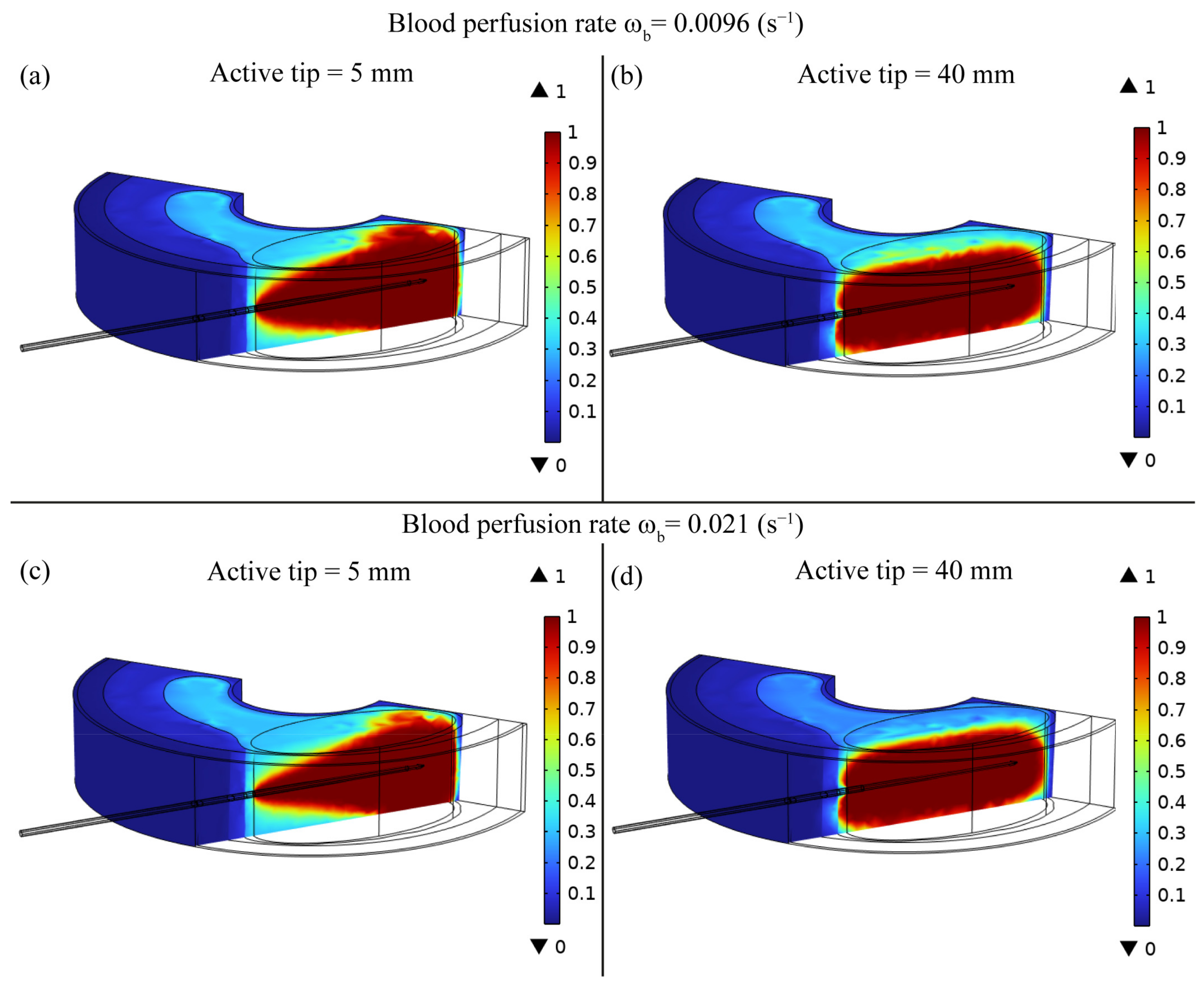 Bioengineering 10 01210 g006