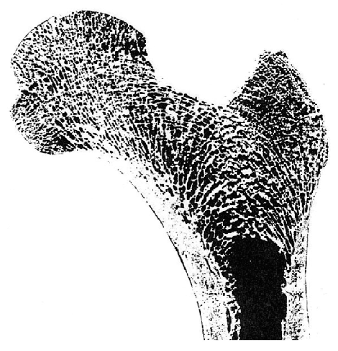 Bioengineering 10 01224 g007