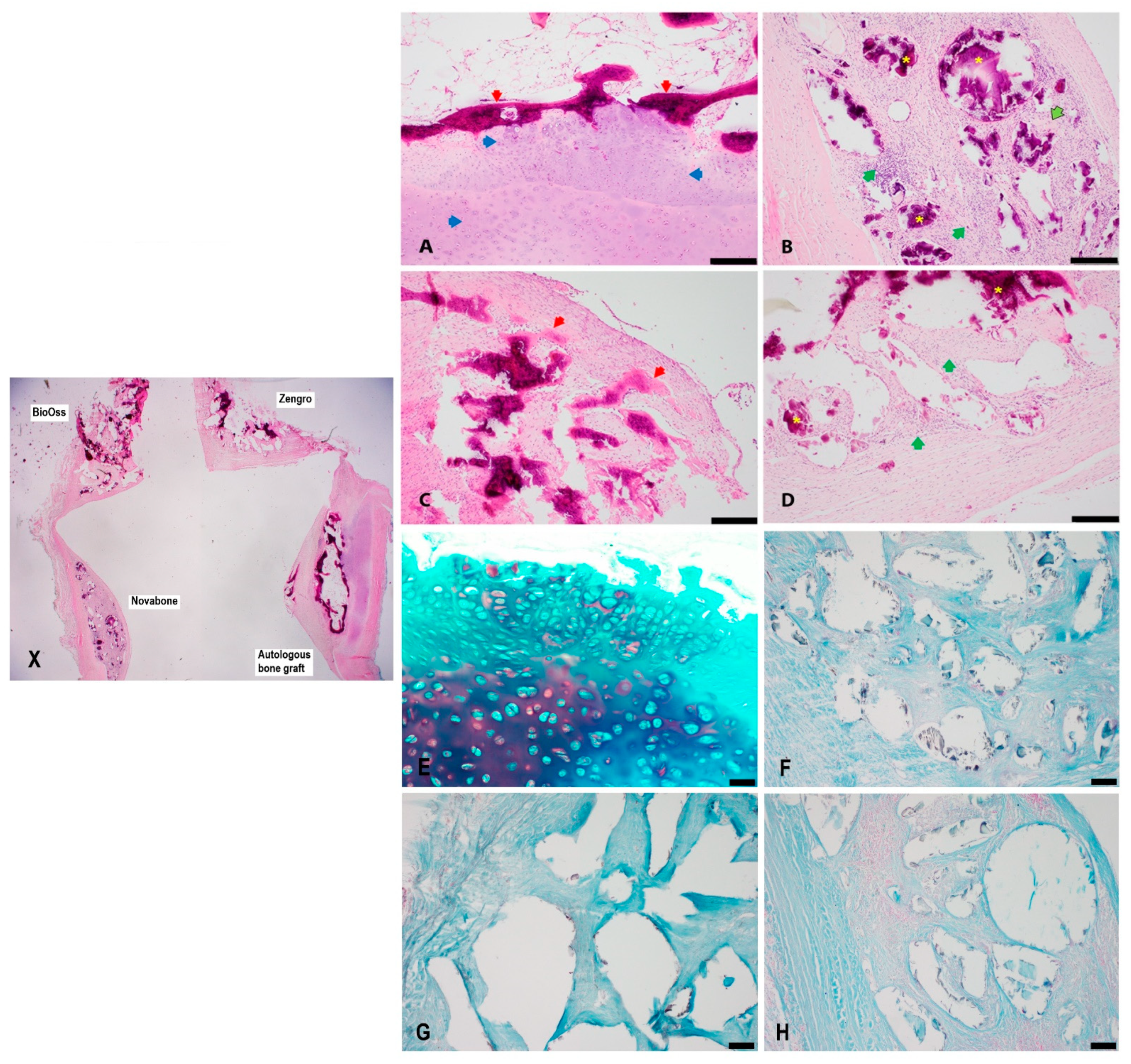 Bioengineering 10 01233 g004