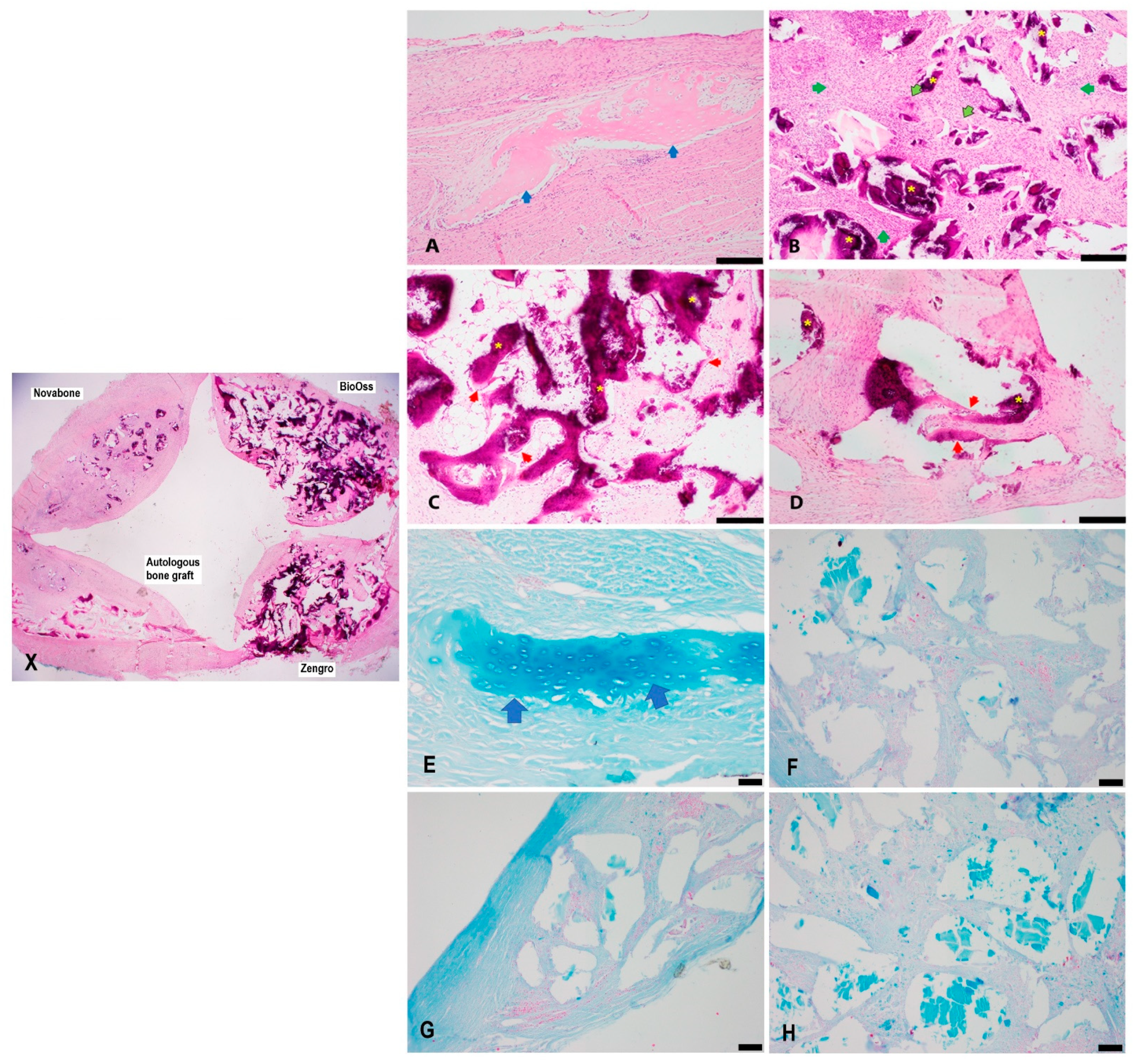 Bioengineering 10 01233 g005