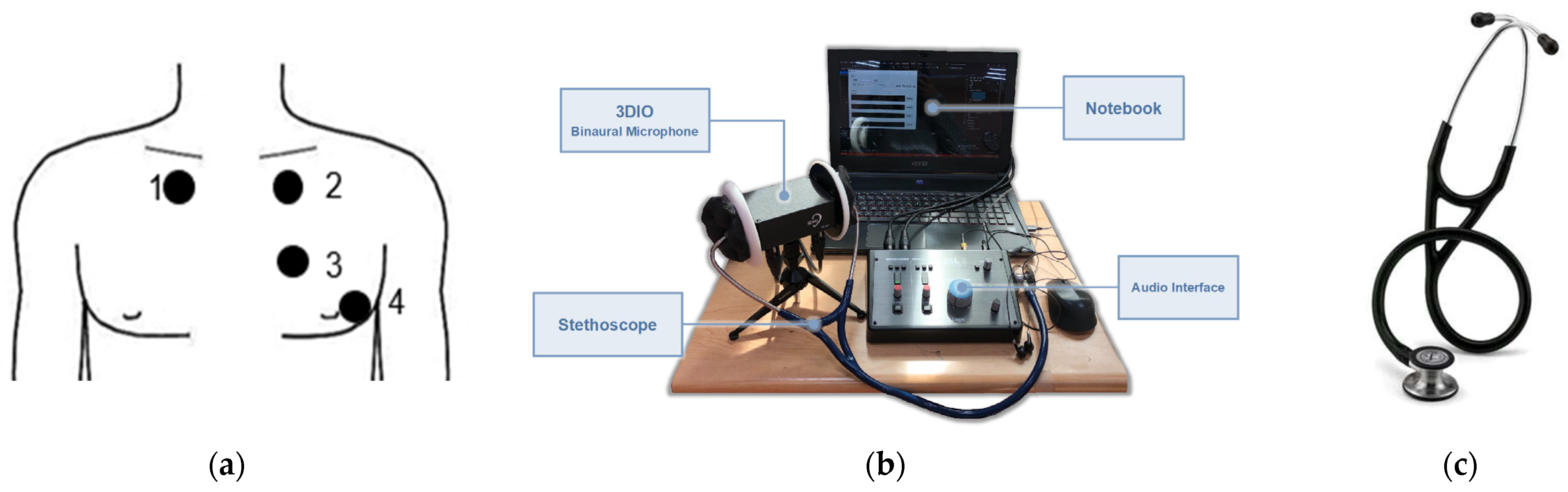 Bioengineering 10 01237 g005