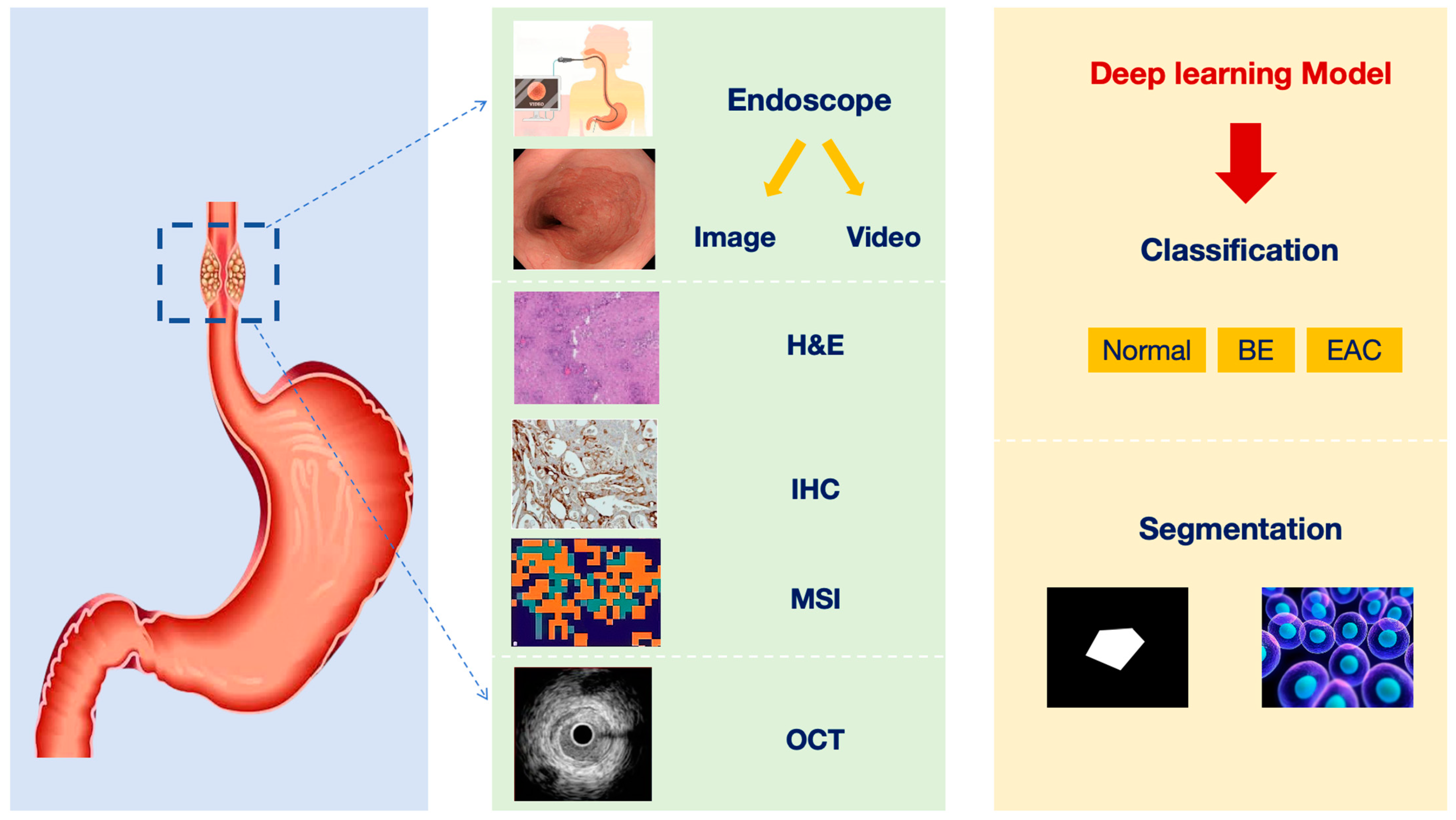 Bioengineering 10 01239 g003 Bioengineering 10 01239 g003