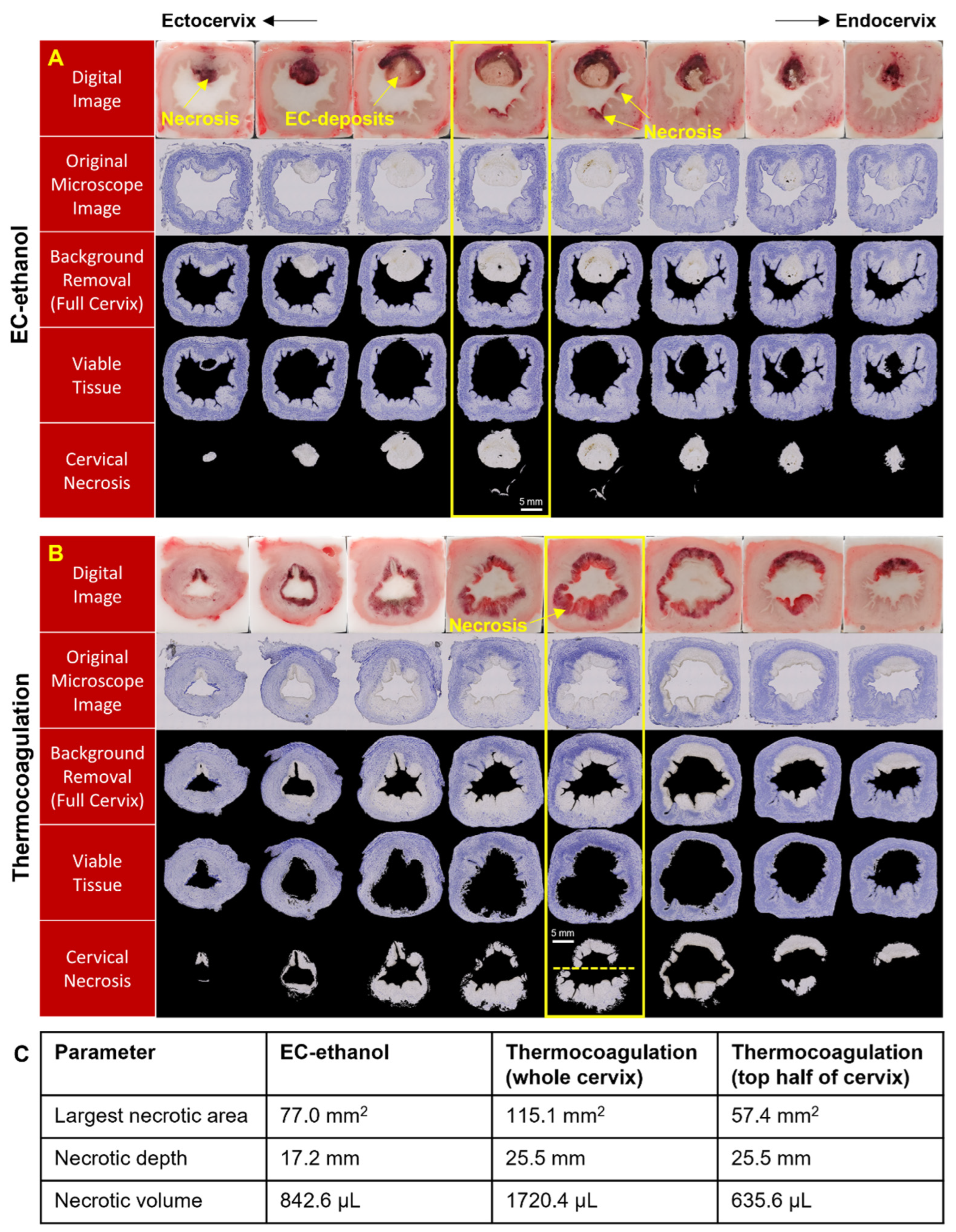 Bioengineering 10 01246 g005