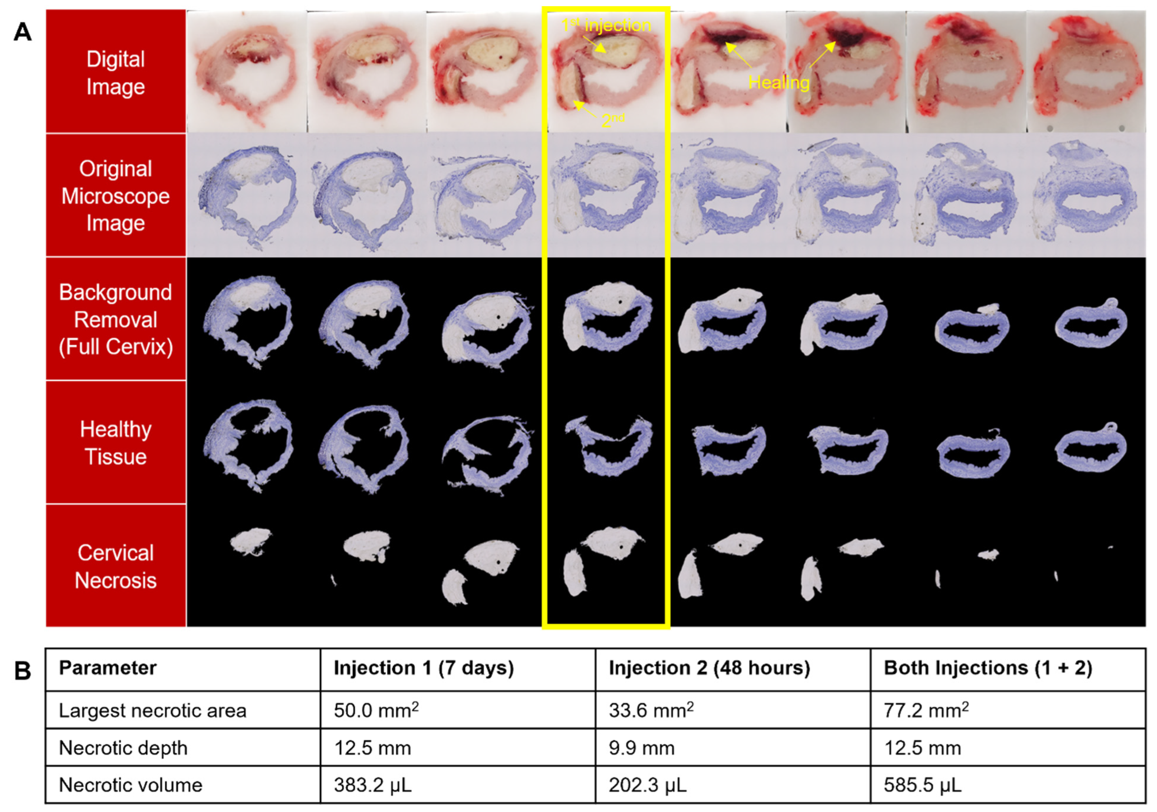 Bioengineering 10 01246 g008