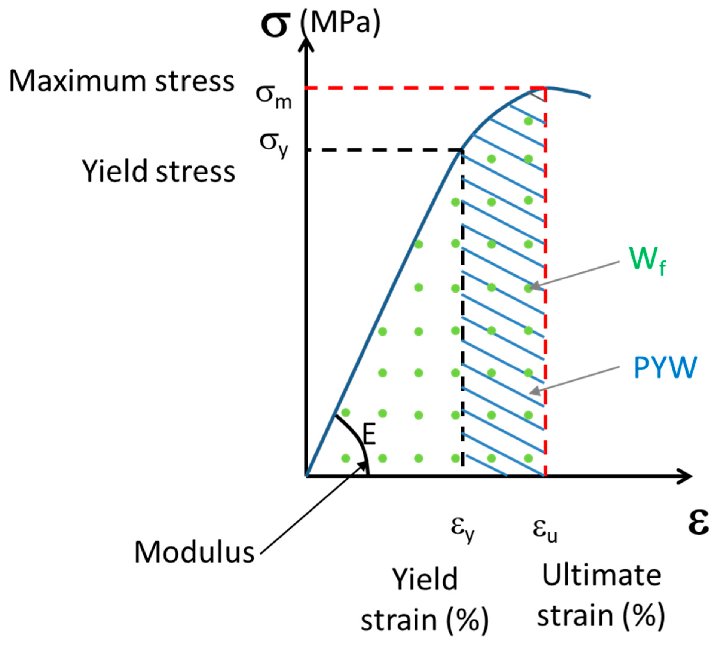 Bioengineering 10 01338 g002