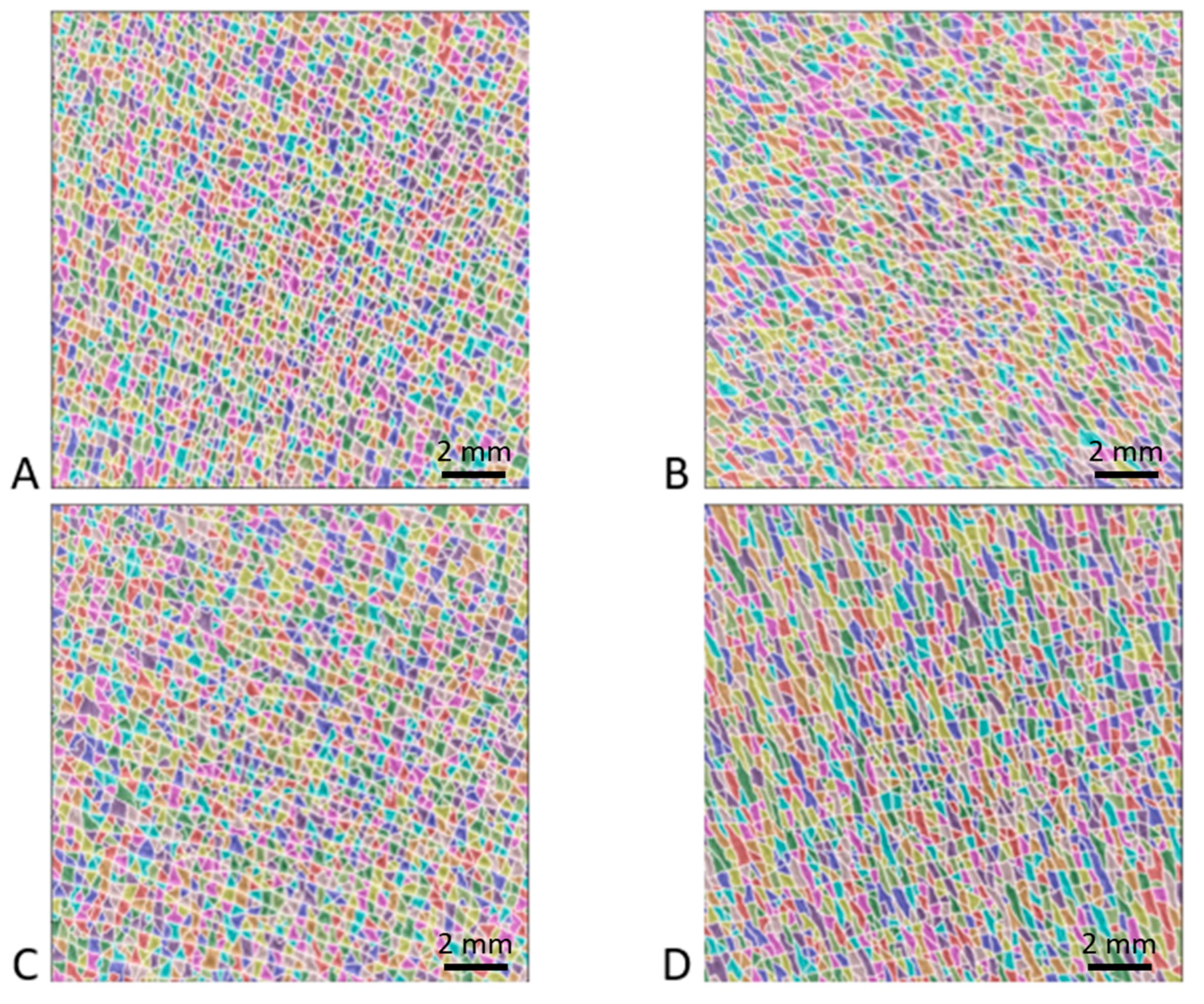 Bioengineering 10 01338 g003