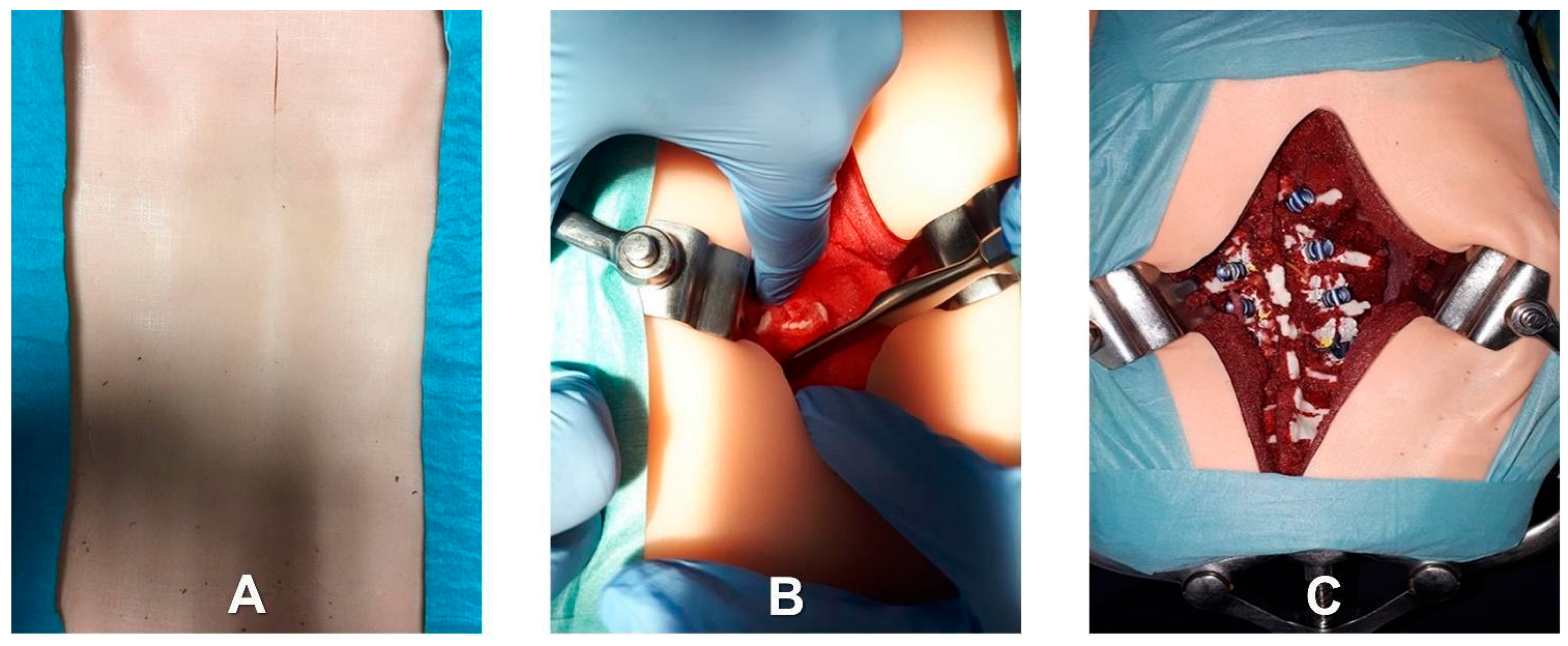 Bioengineering 10 01345 g003