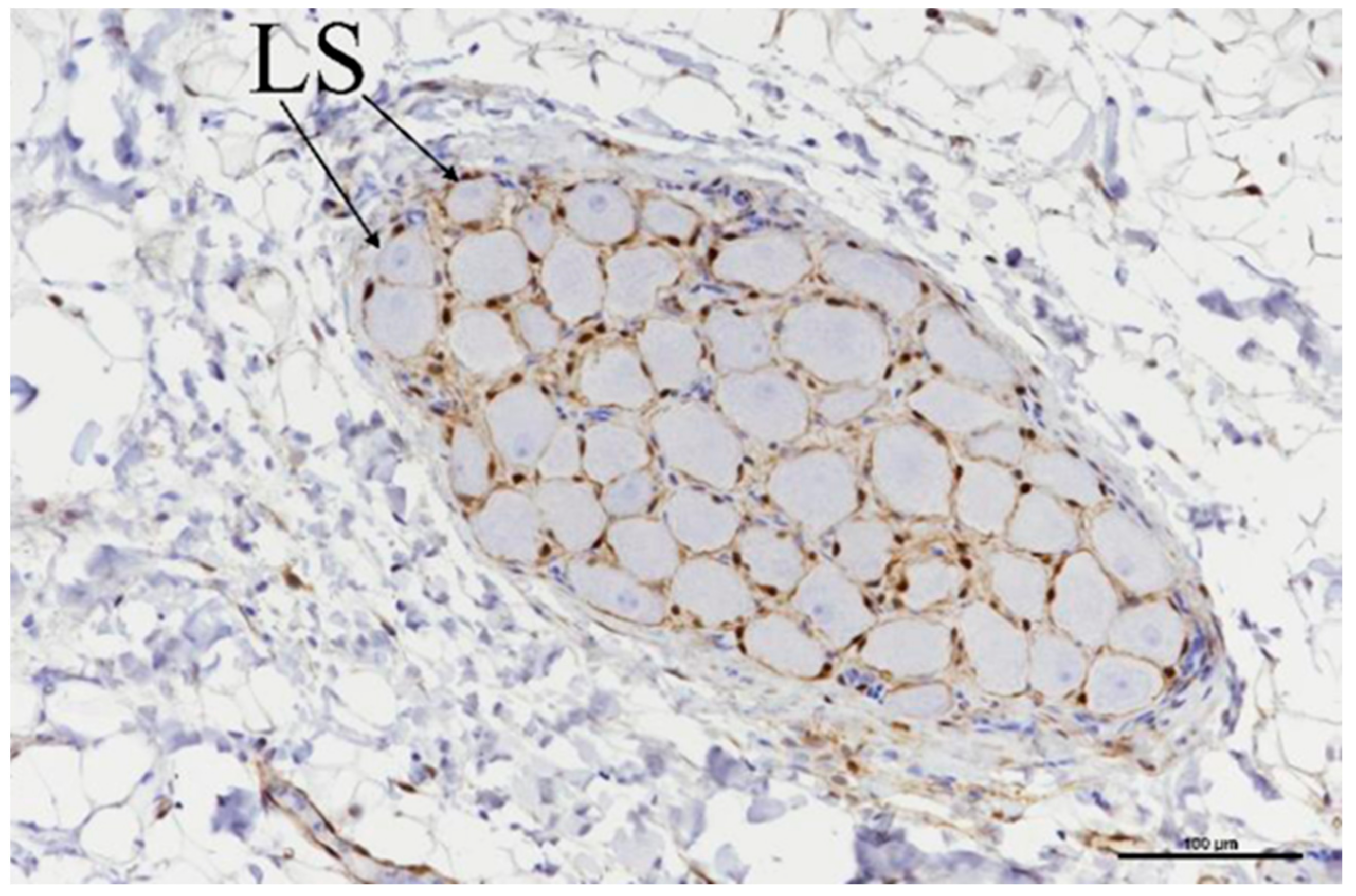 Bioengineering 11 00018 g010
