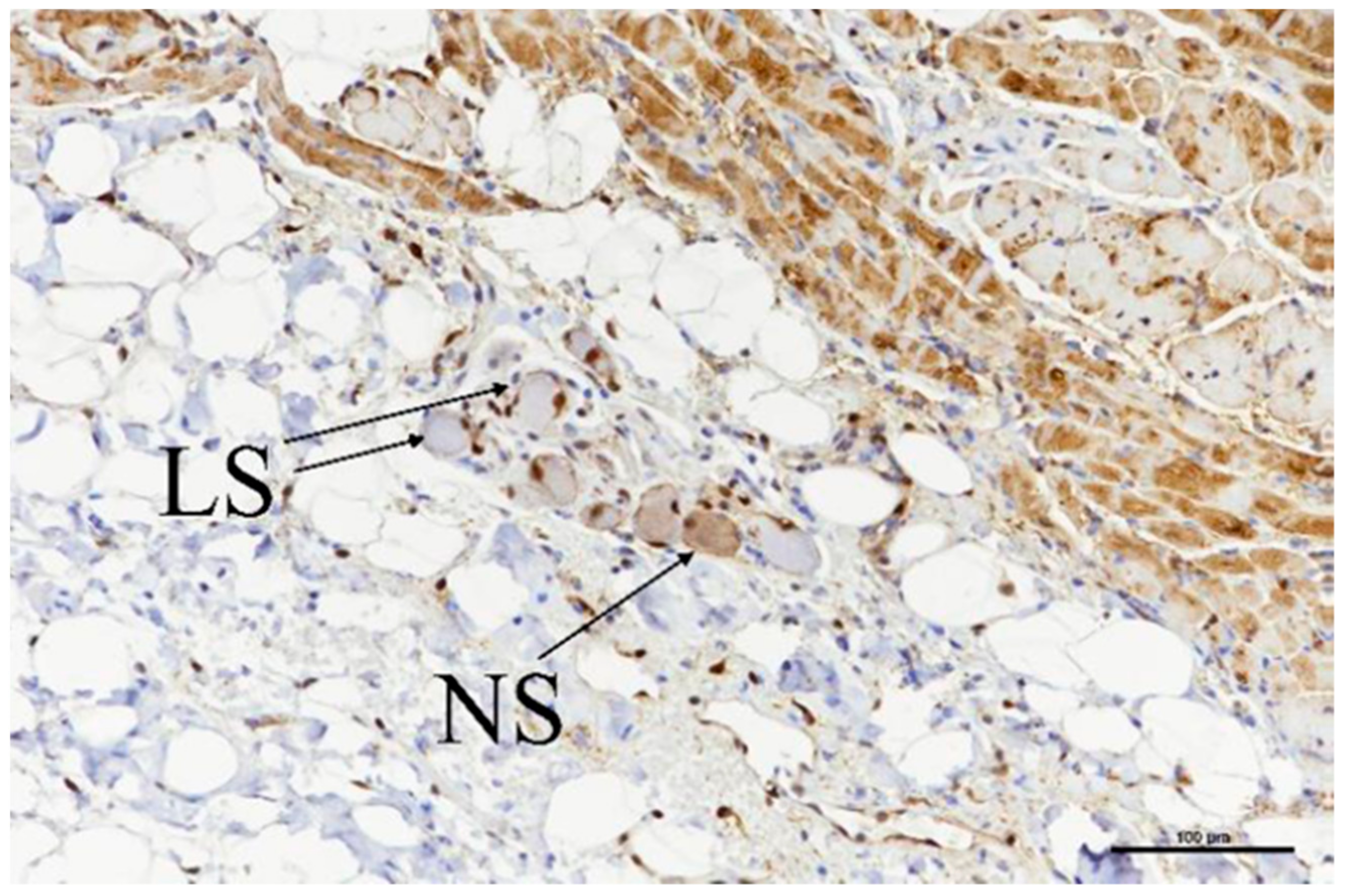 Bioengineering 11 00018 g011