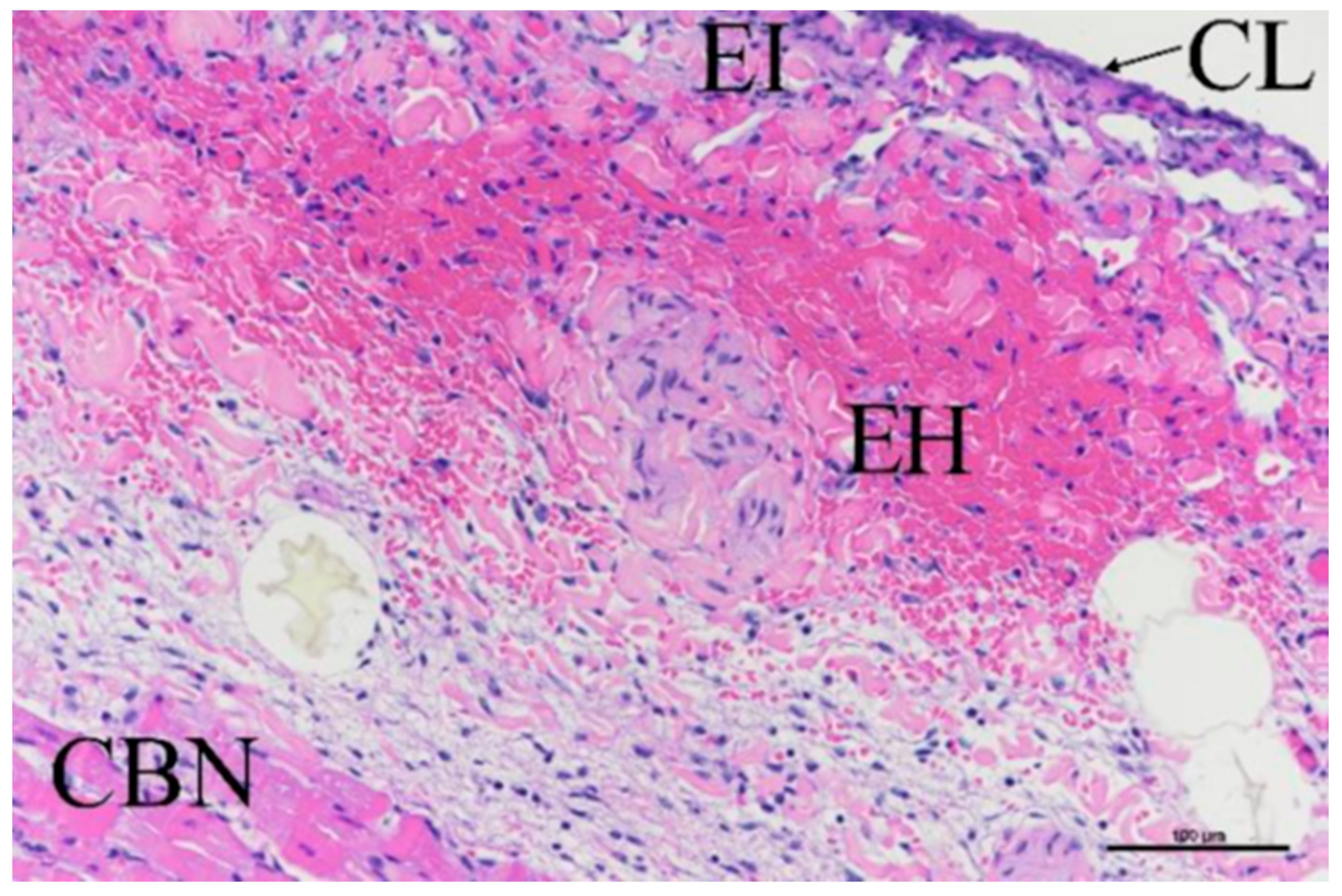 Bioengineering 11 00018 g012