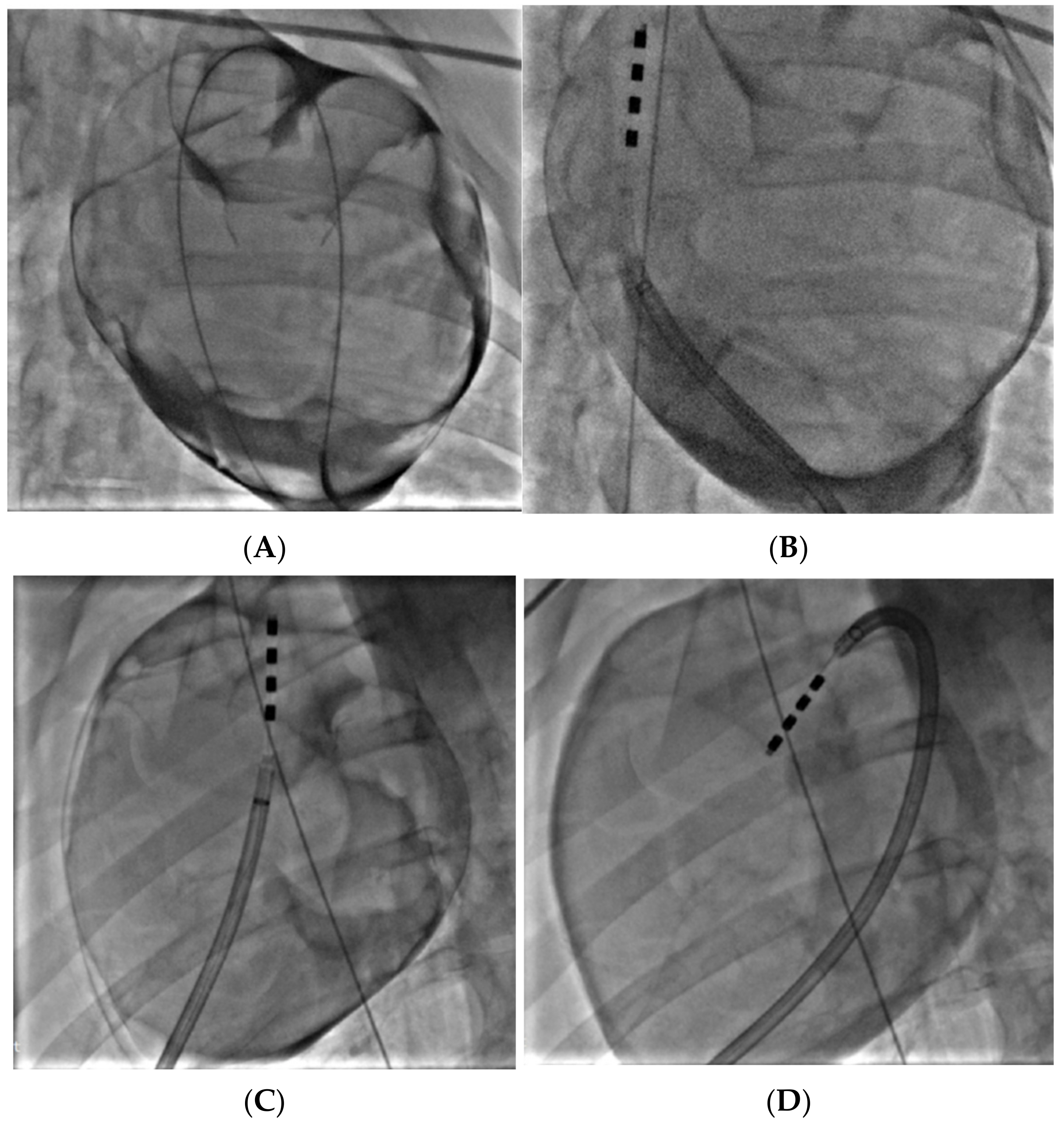 Bioengineering 11 00018 g013