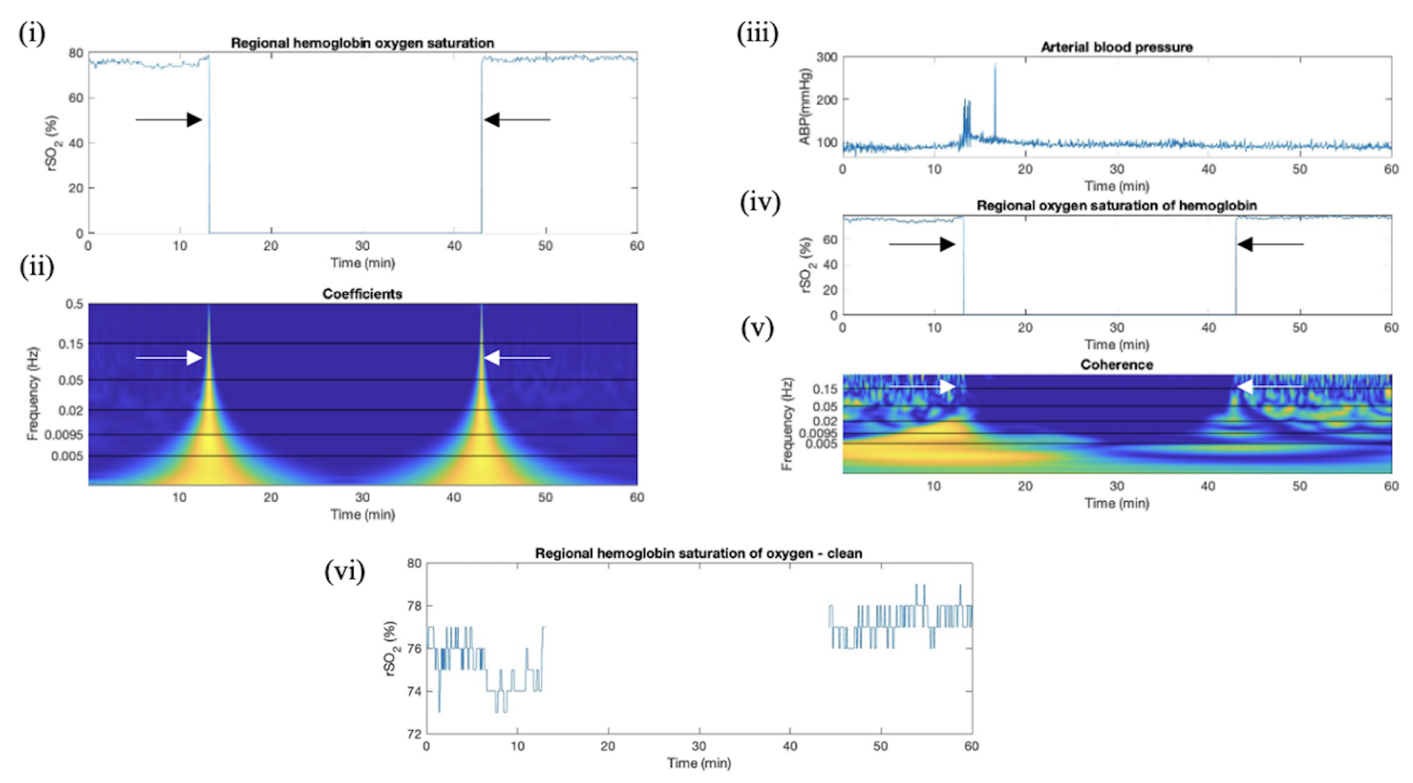 Bioengineering 11 00033 g004