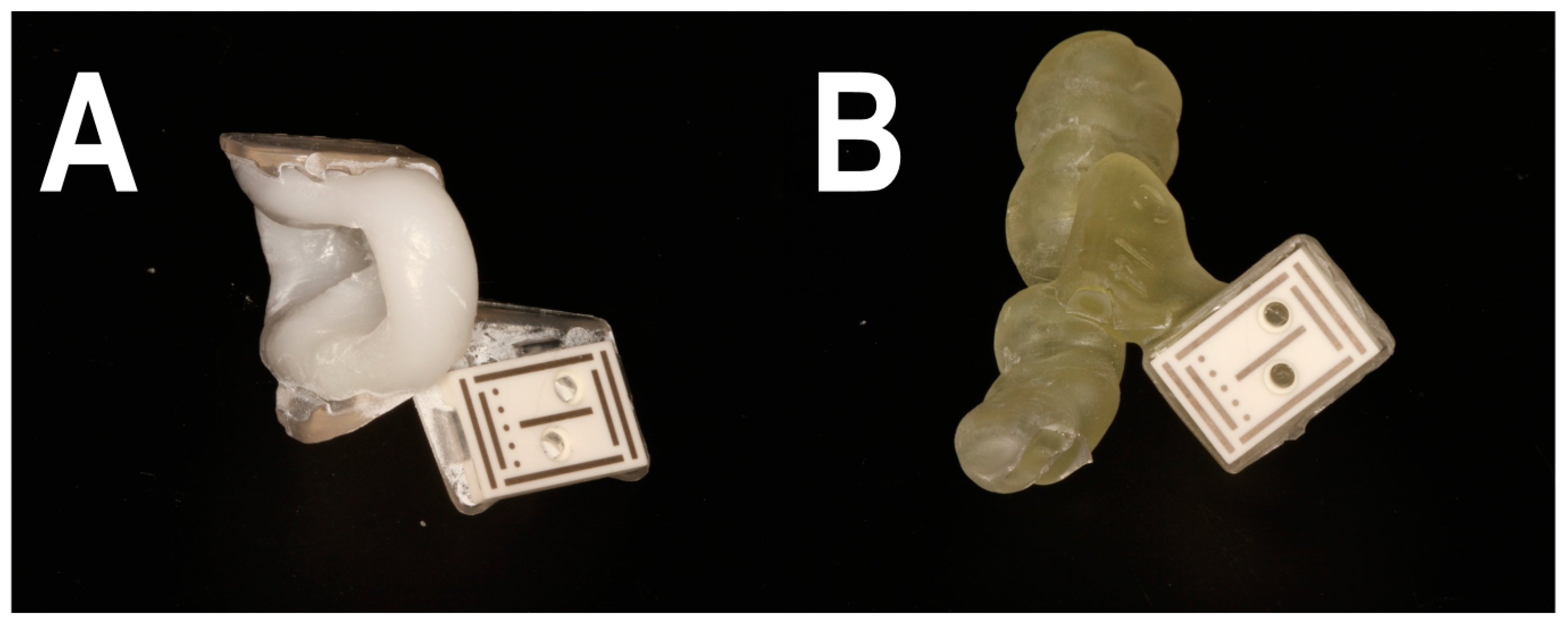 Bioengineering 11 00155 g002