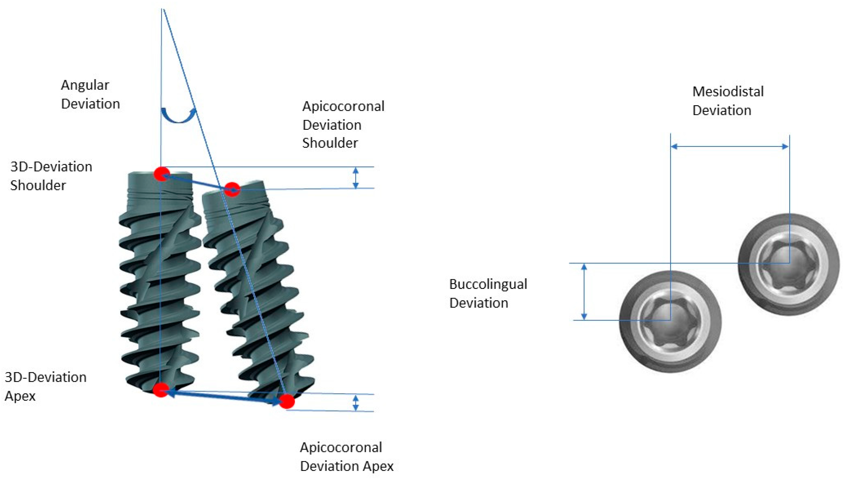 Bioengineering 11 00155 g006