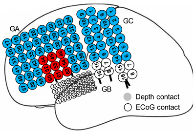 Bioengineering 11 00224 i002