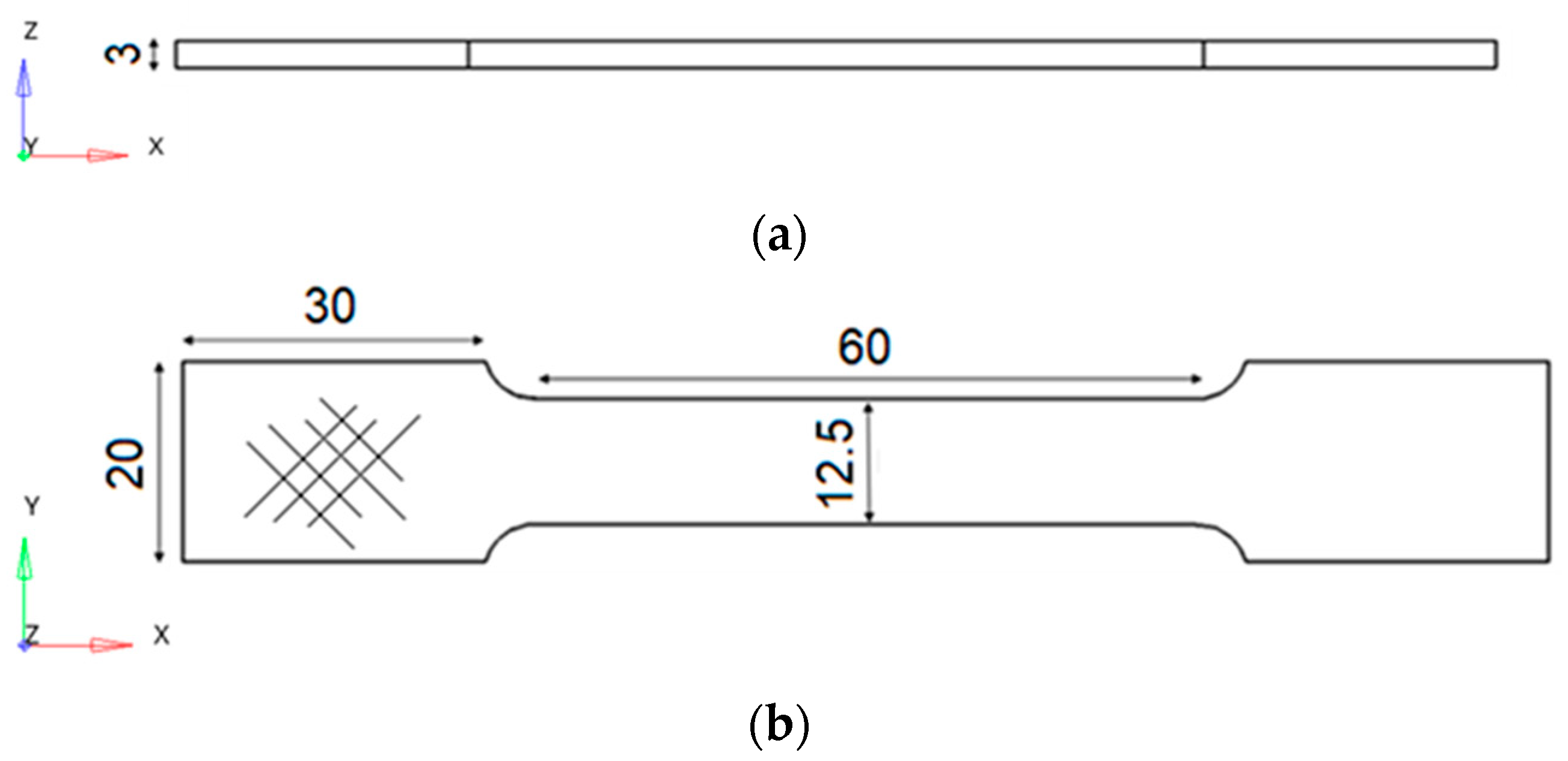 Bioengineering 11 00244 g001