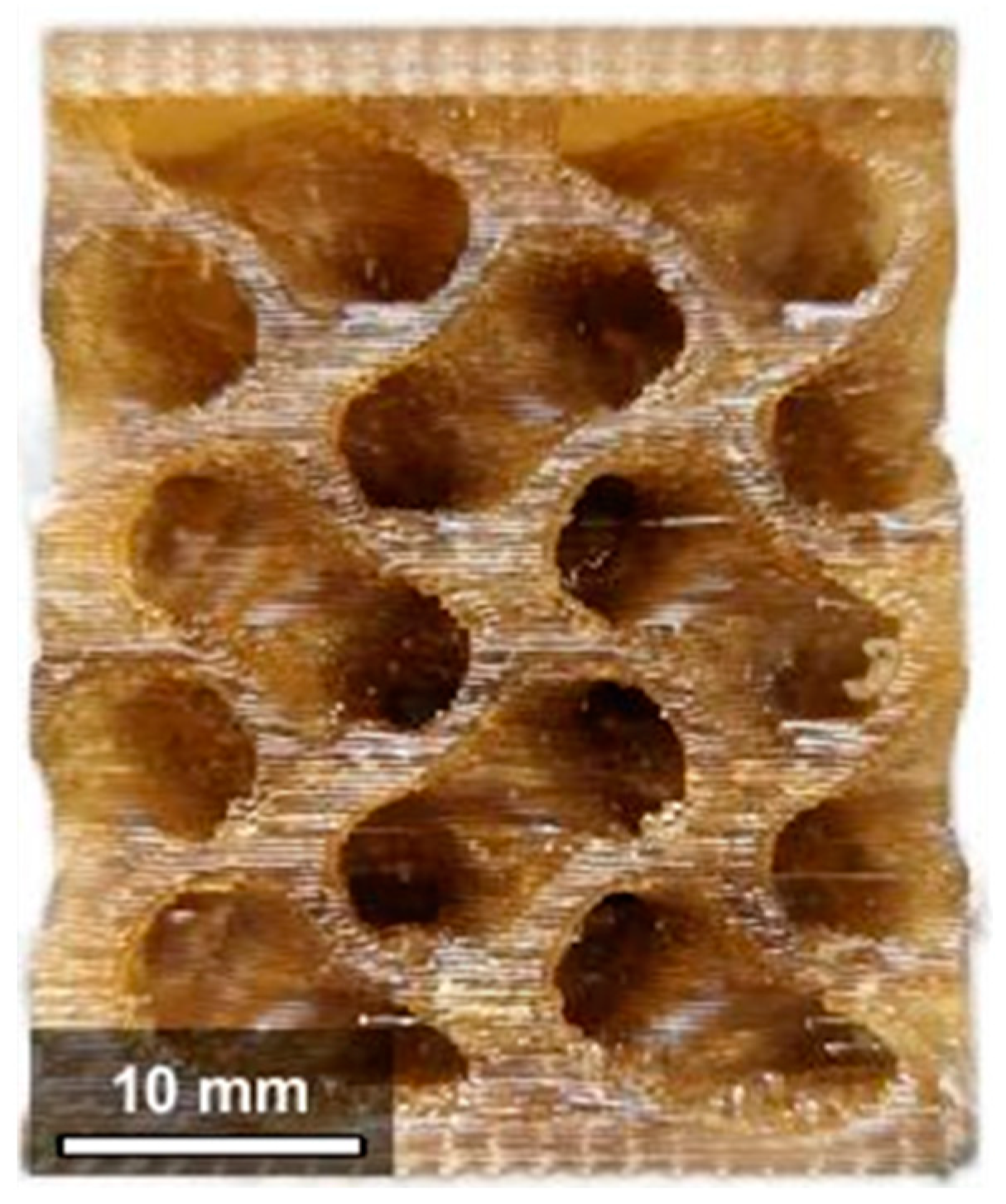 Bioengineering 11 00244 g002
