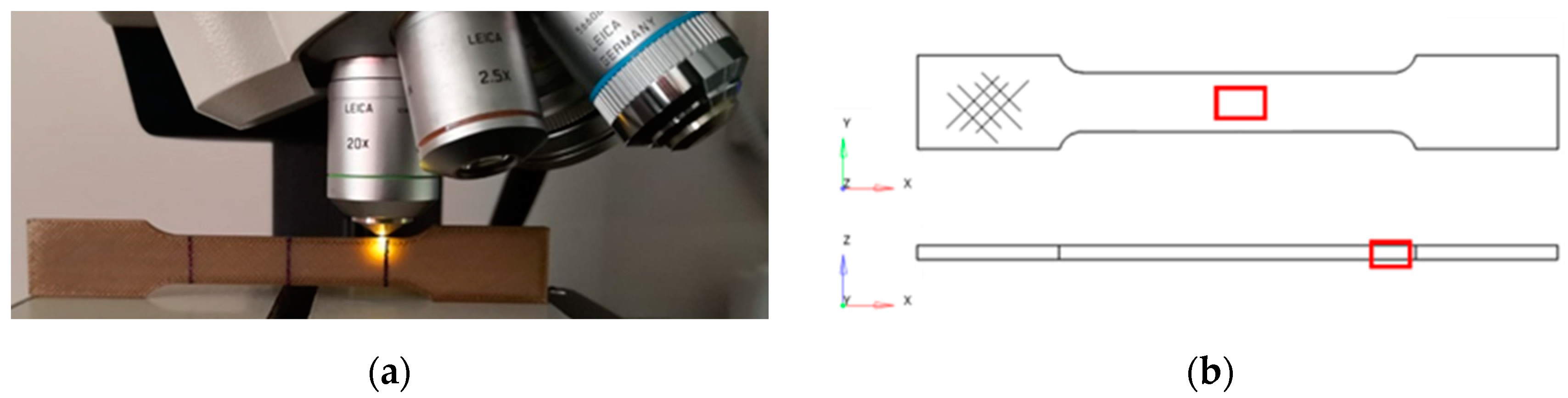 Bioengineering 11 00244 g003