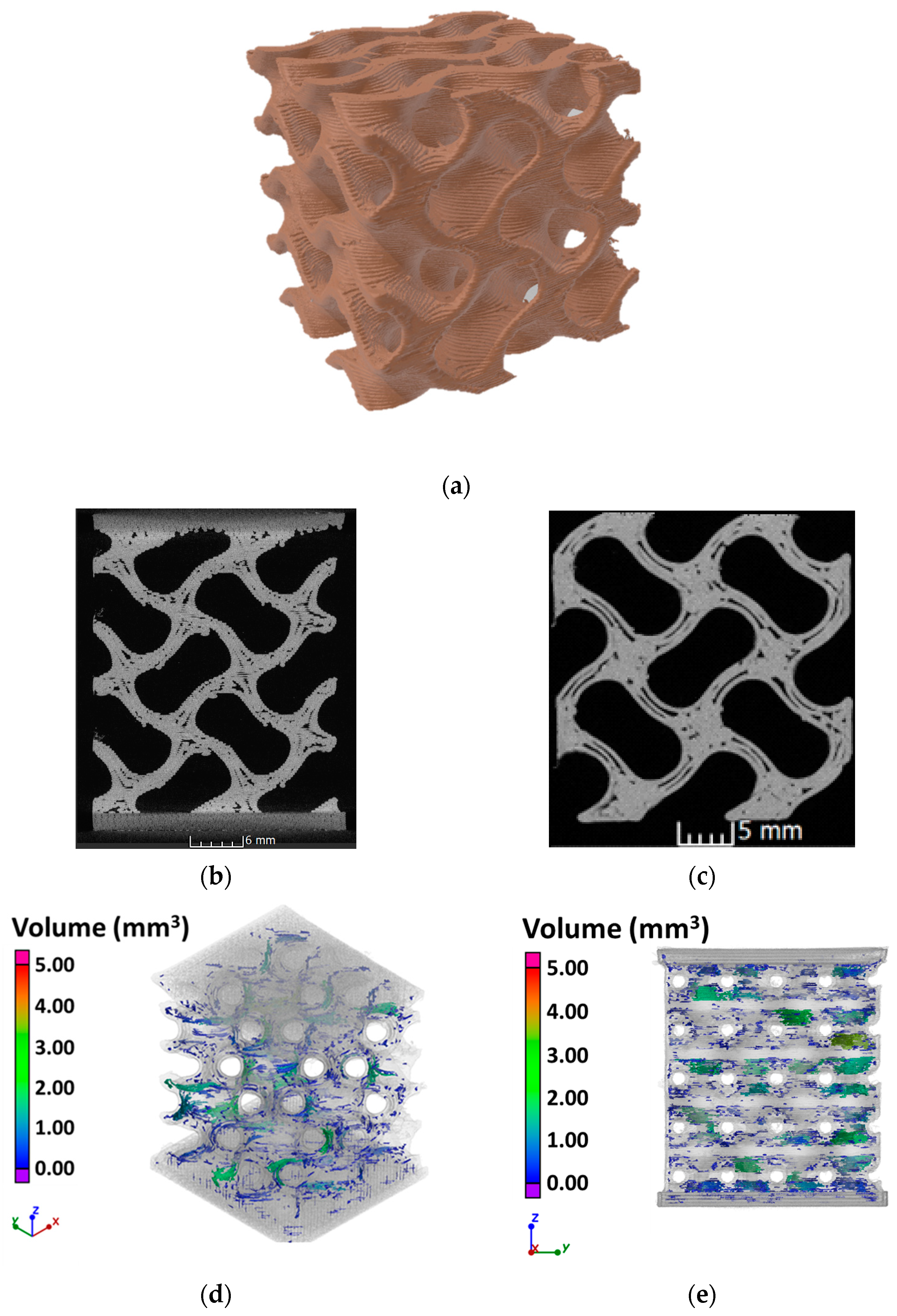 Bioengineering 11 00244 g005