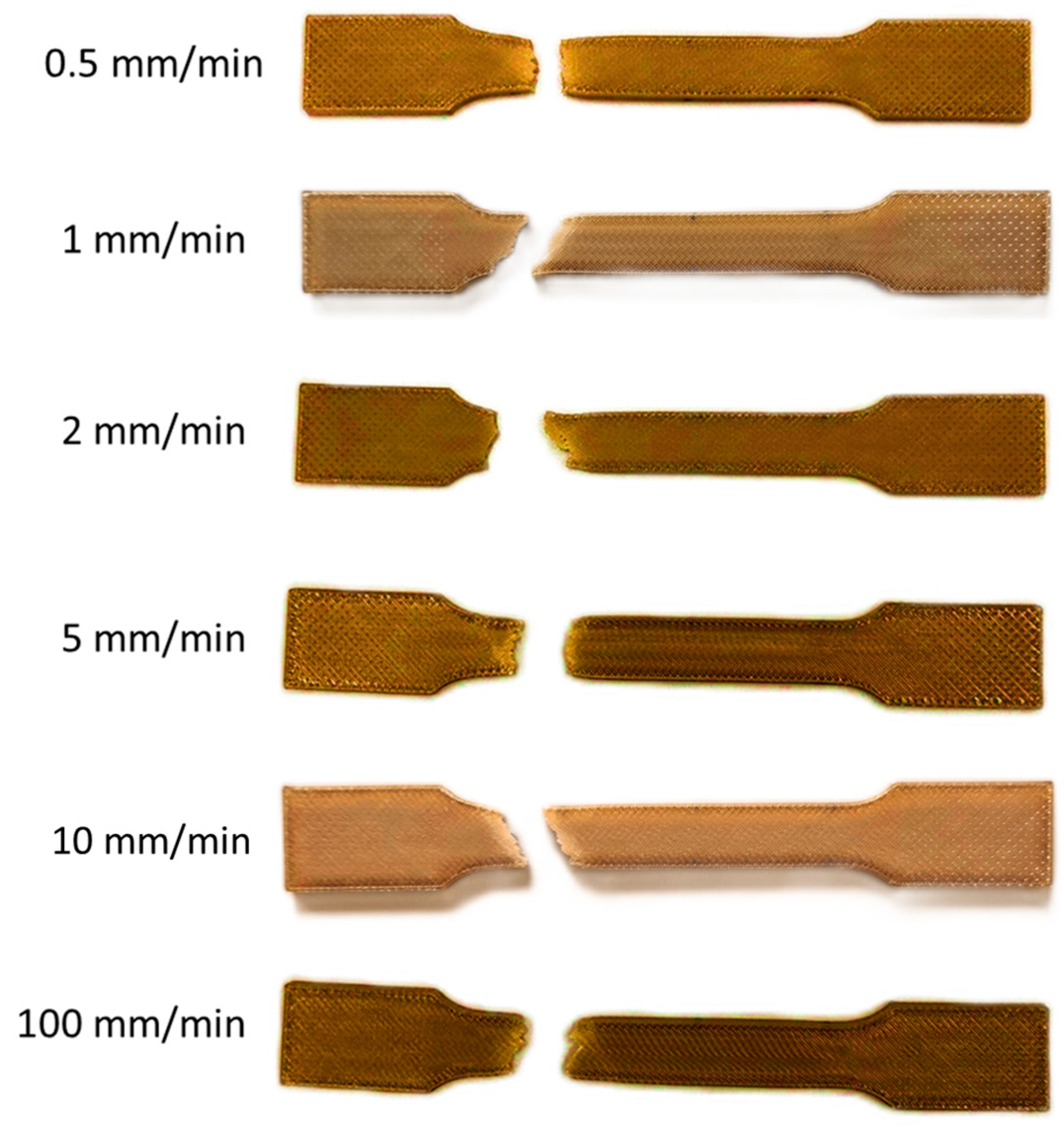 Bioengineering 11 00244 g007