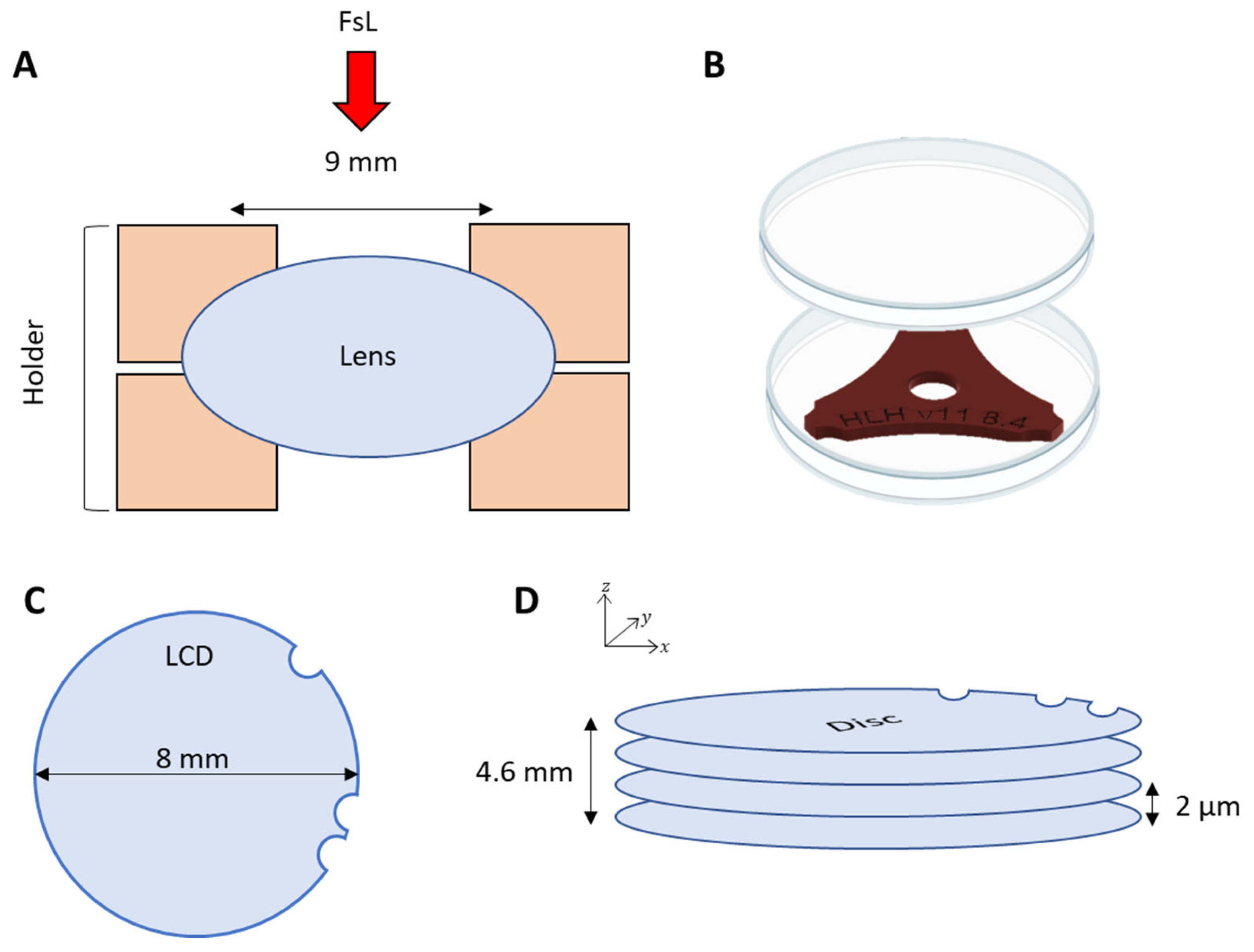 Bioengineering 11 00255 g001