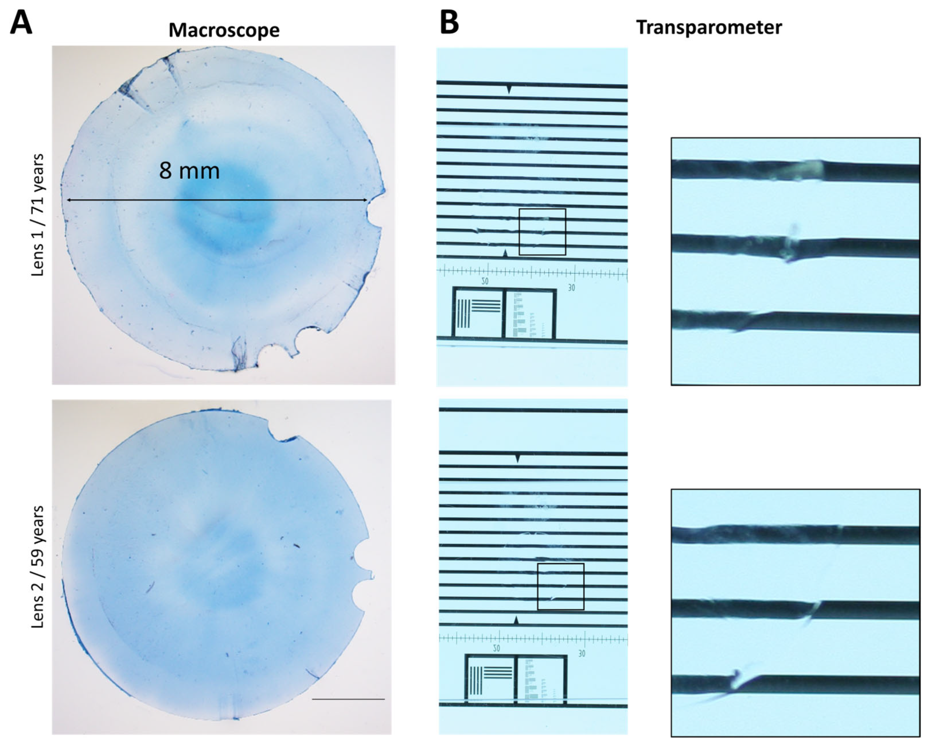 Bioengineering 11 00255 g003