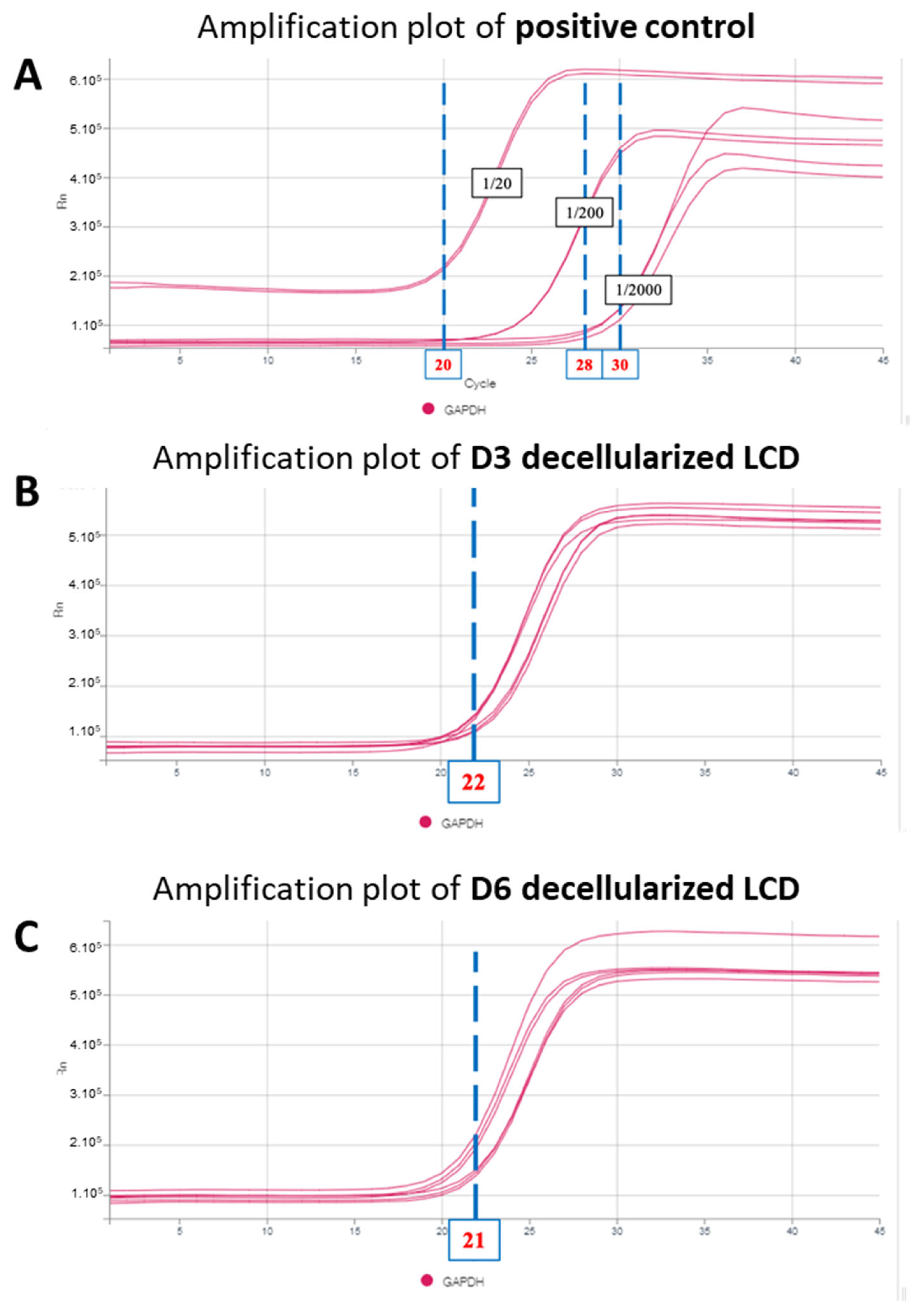 Bioengineering 11 00255 g005
