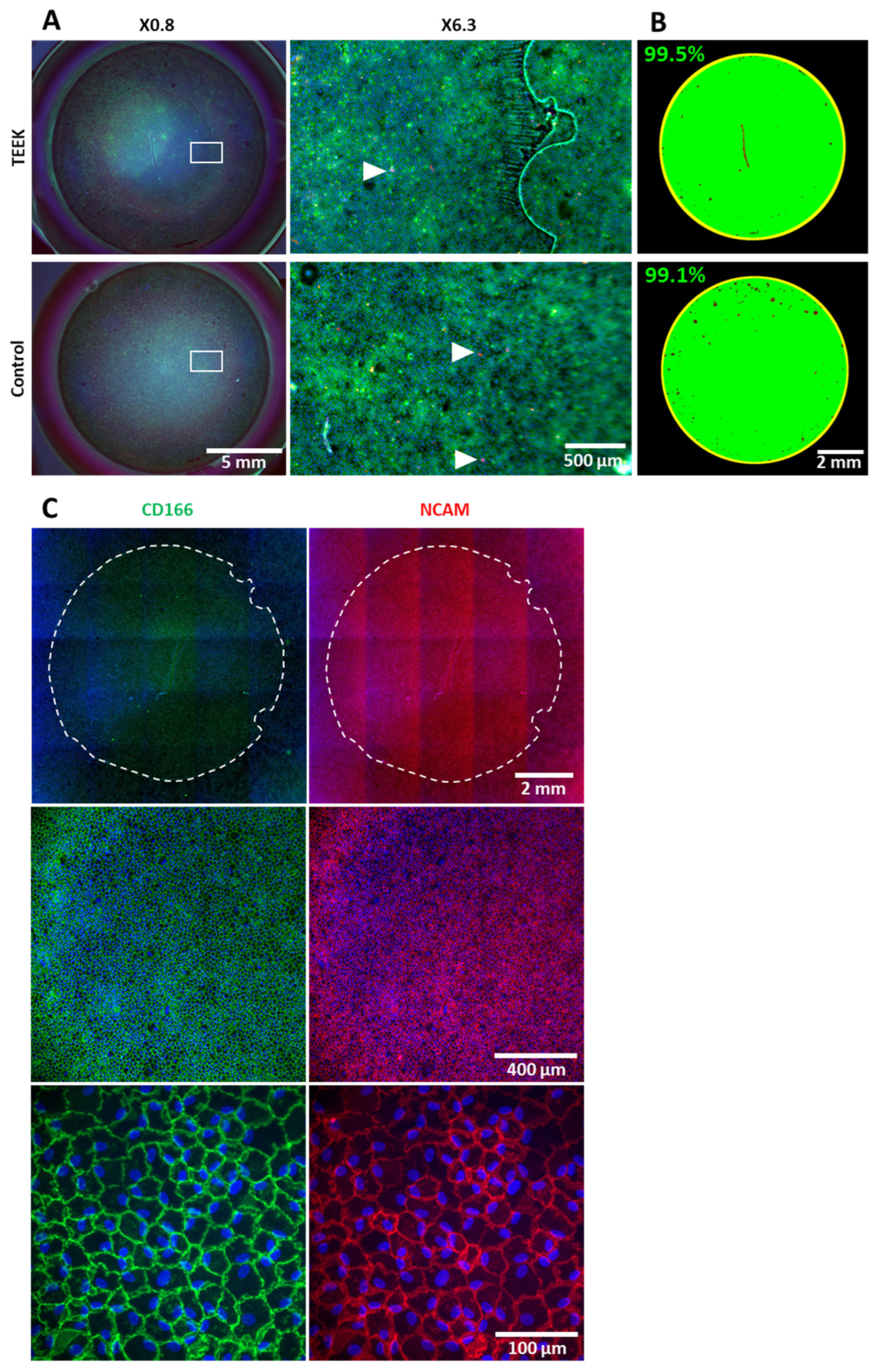 Bioengineering 11 00255 g006
