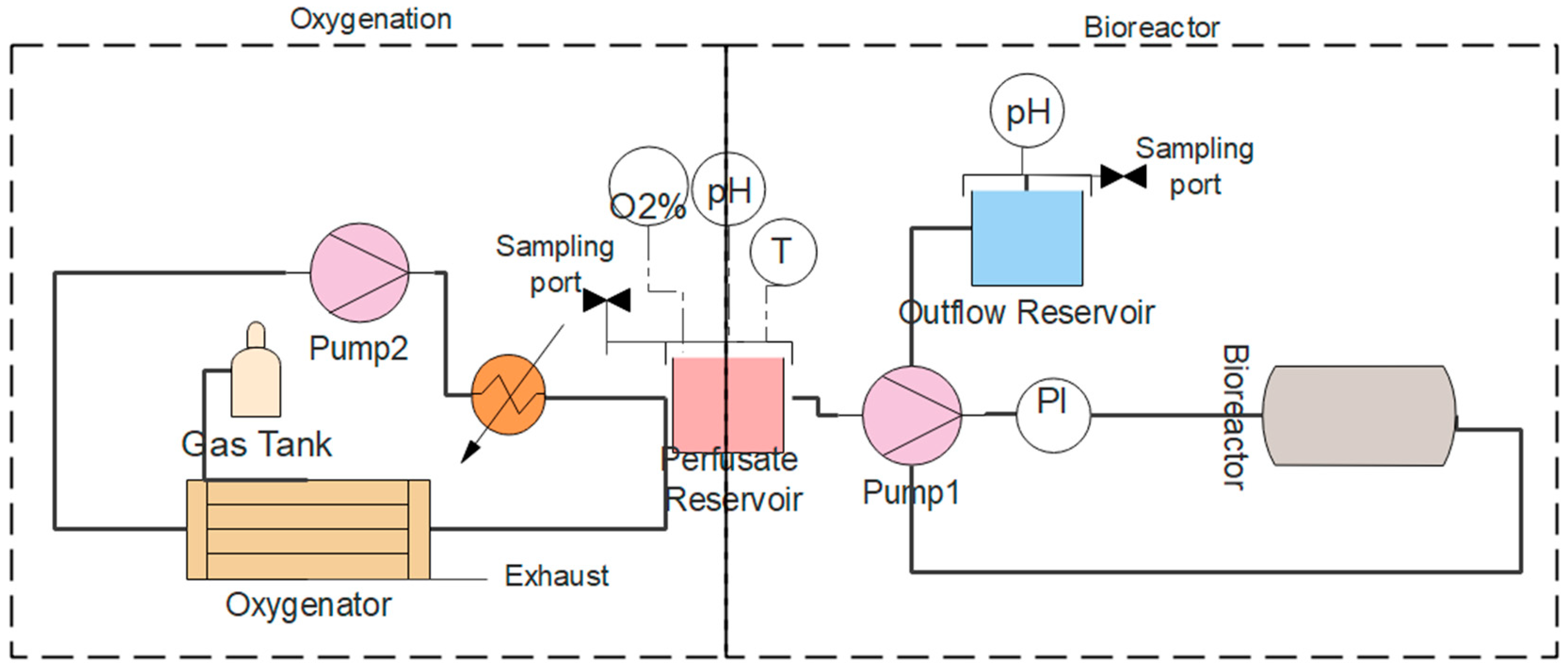 Bioengineering 11 00307 g003