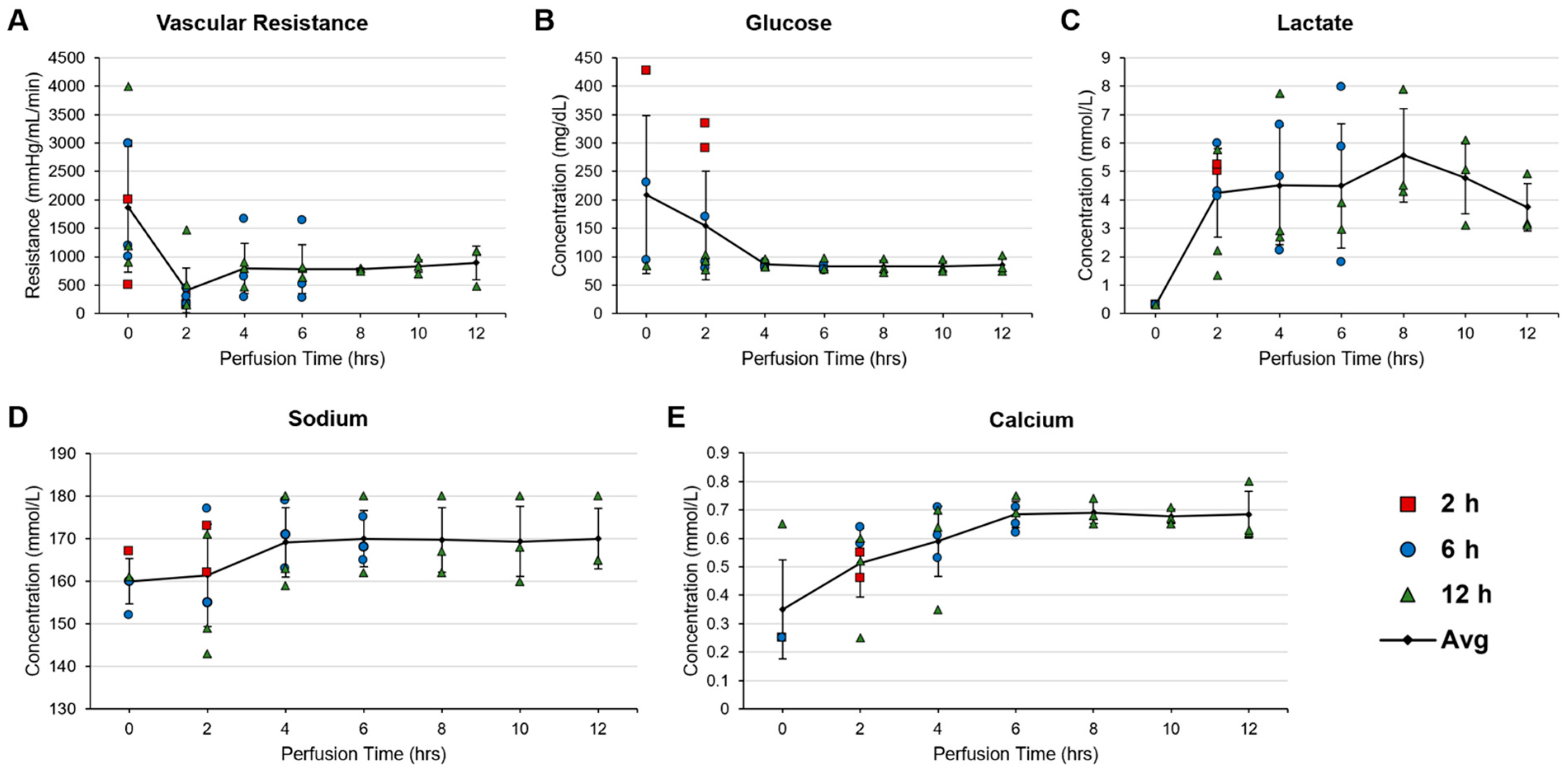 Bioengineering 11 00307 g004