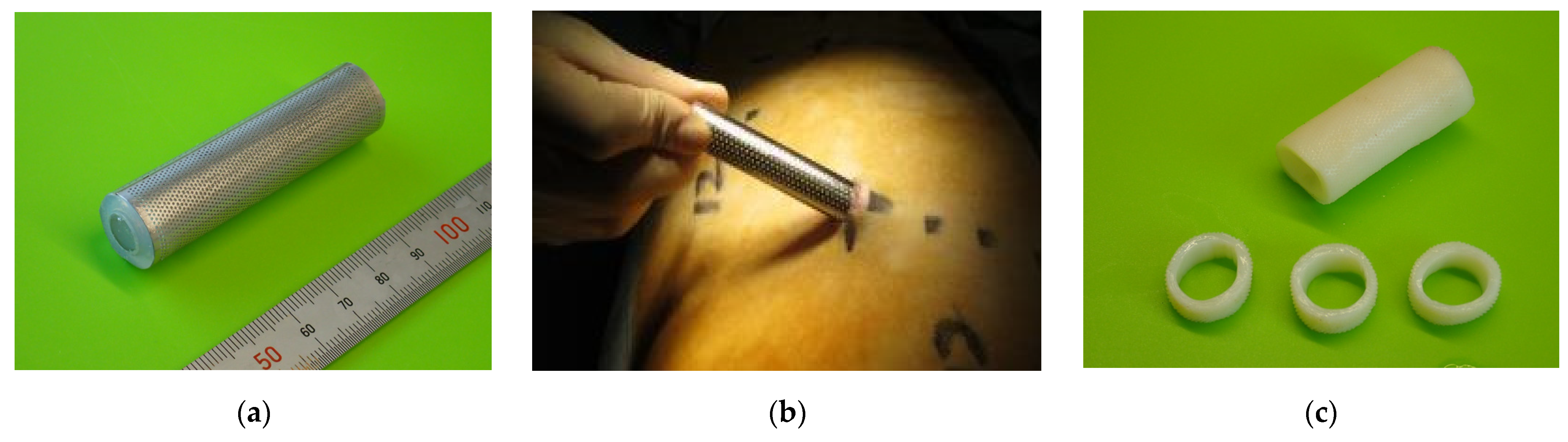 Bioengineering 11 00405 g001a