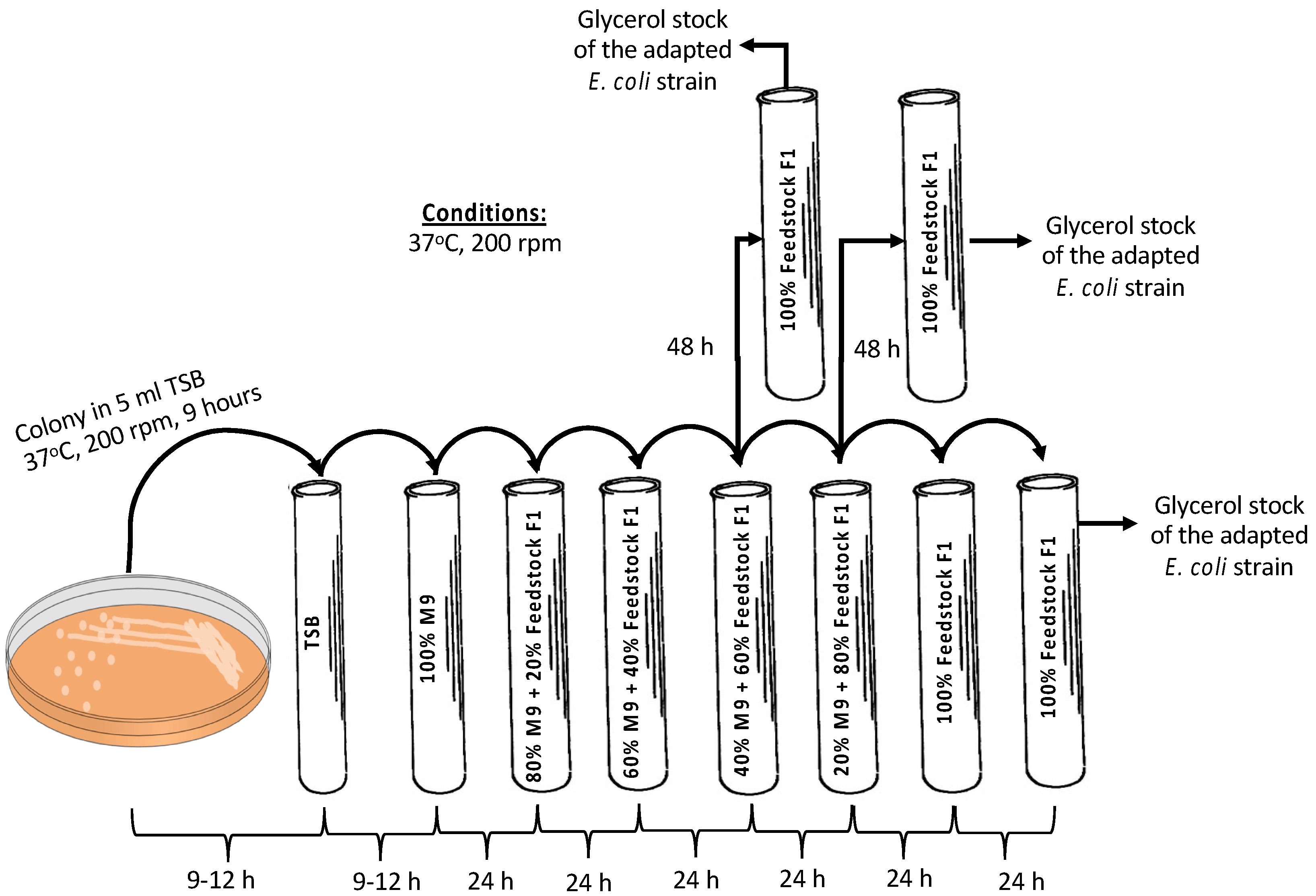 Bioengineering 11 00412 g002