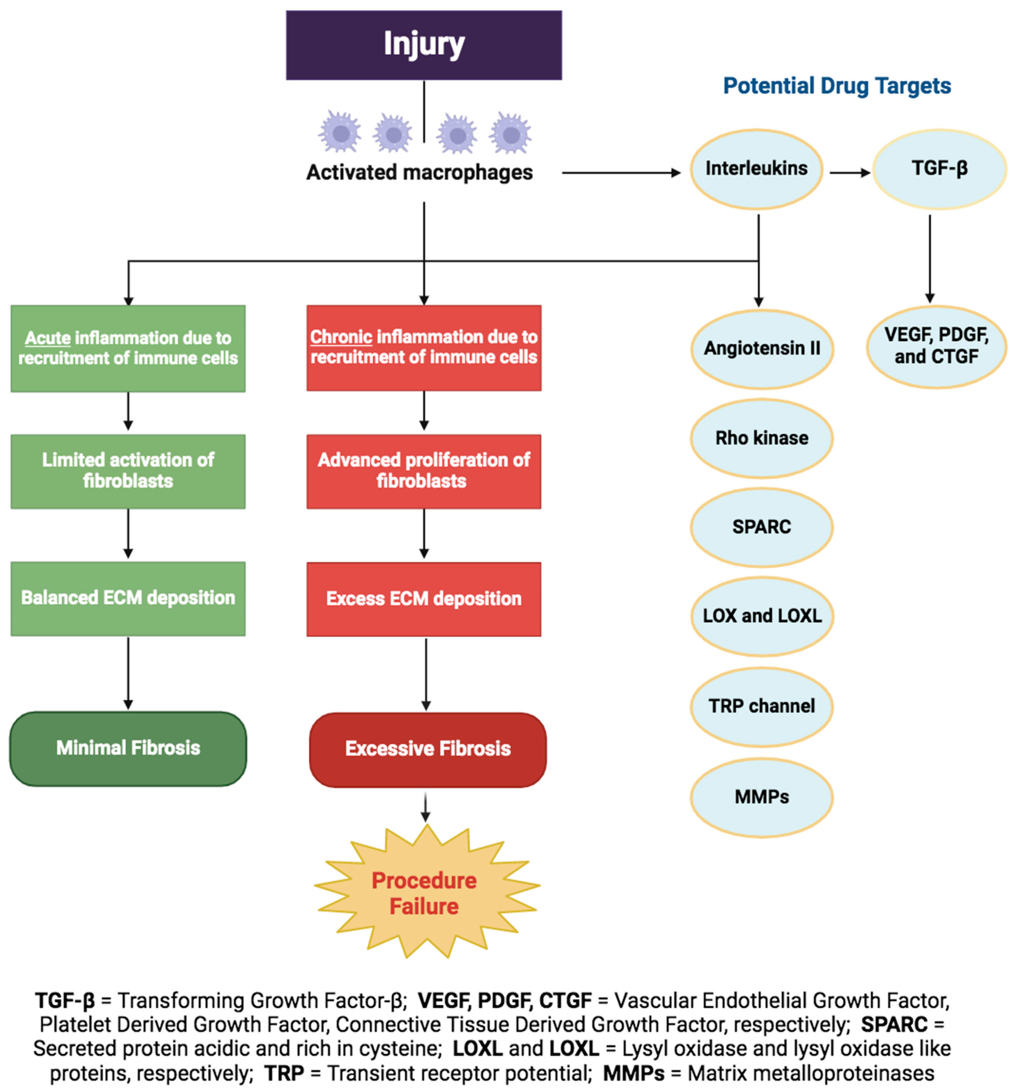 Bioengineering 11 00446 g004