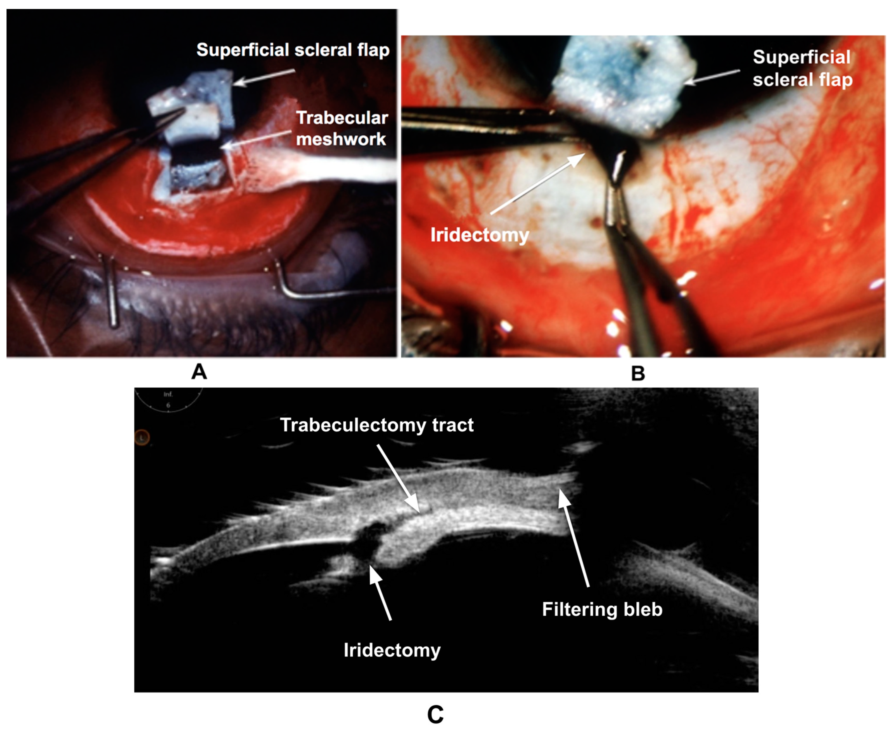 Bioengineering 11 00446 g005